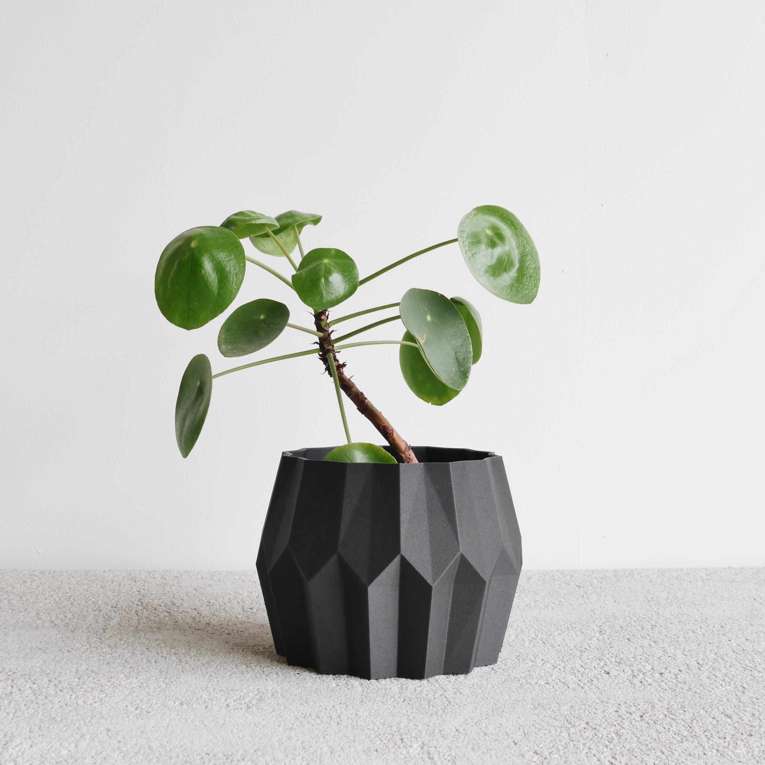 Black Tokyo indoor planter