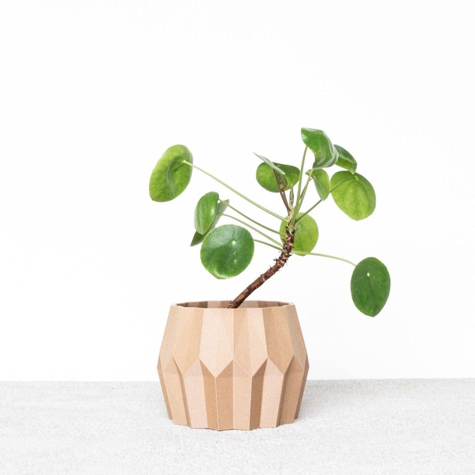 tokyo indoor planter
