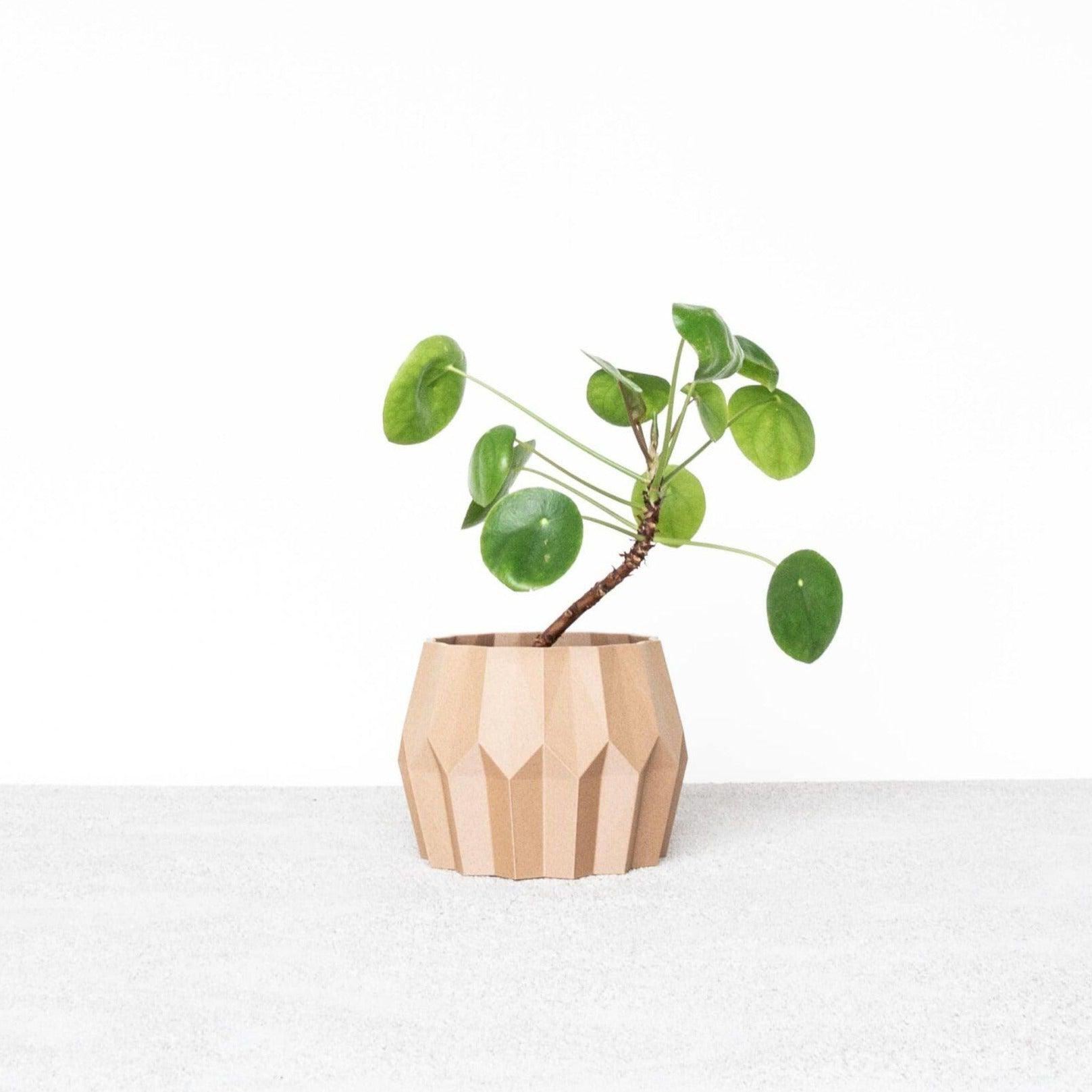 Tokyo indoor planter