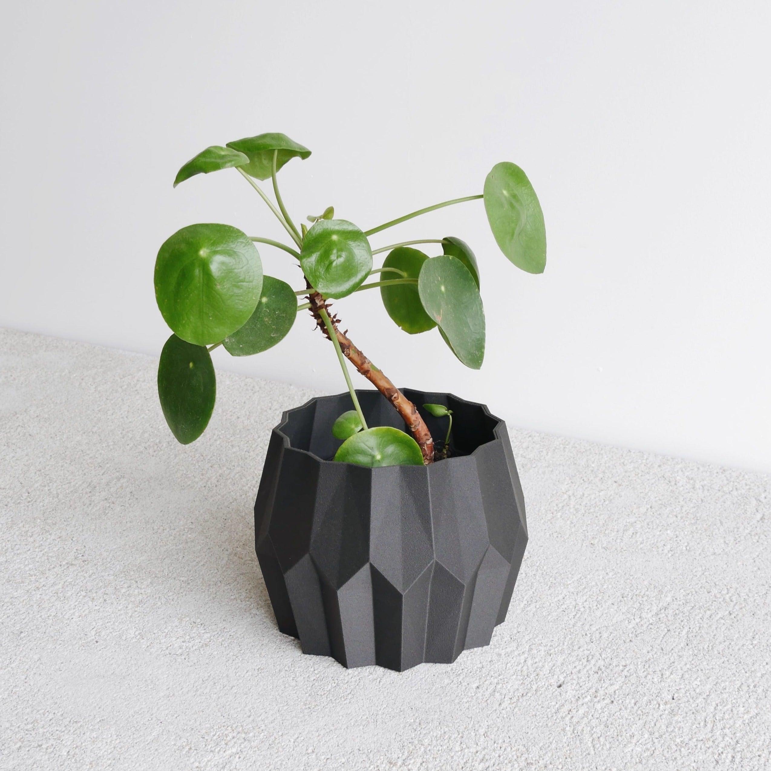 Black Tokyo indoor planter