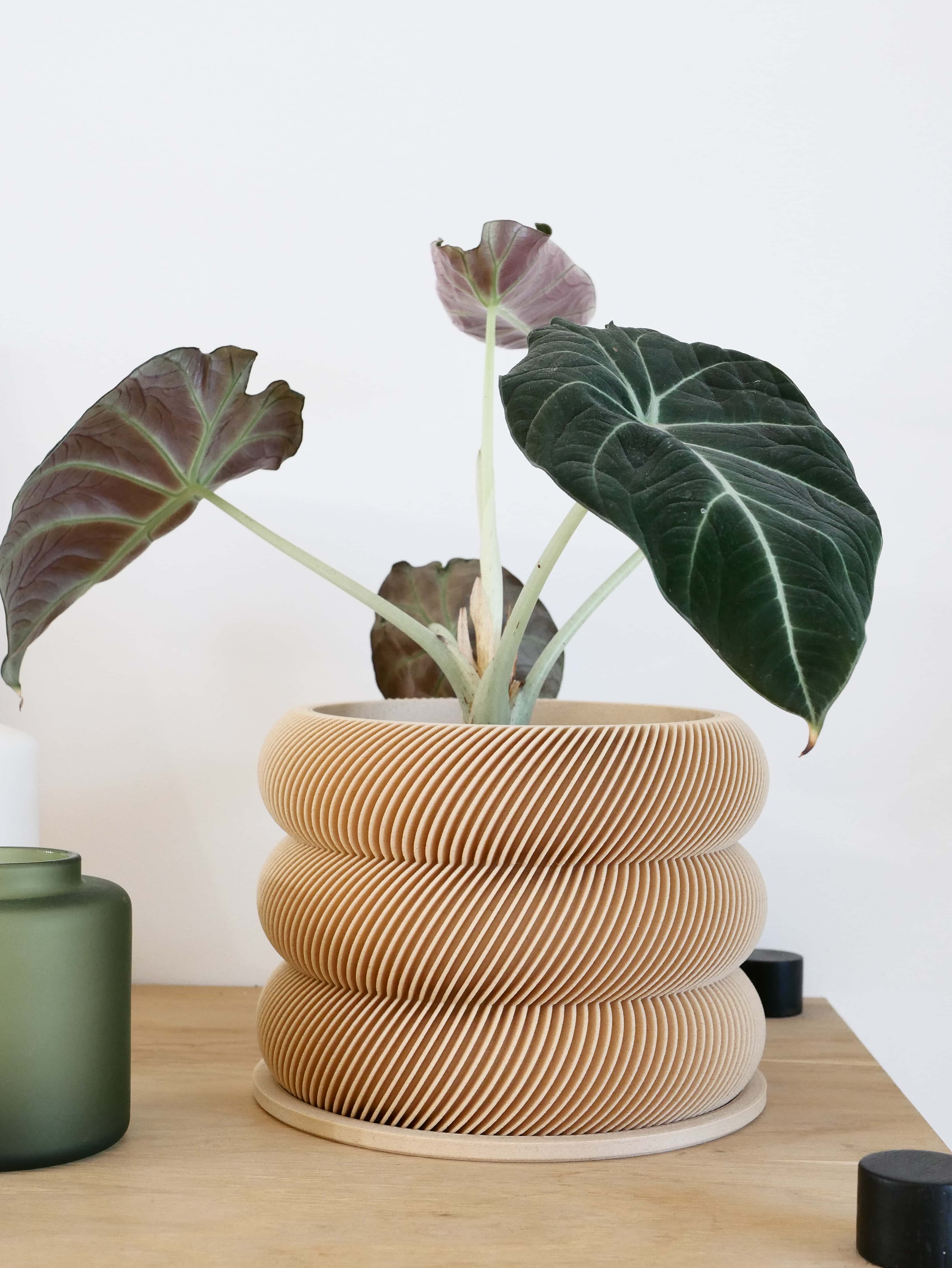 Unique wooden planter textured Kaki - Minimum design #color_natural