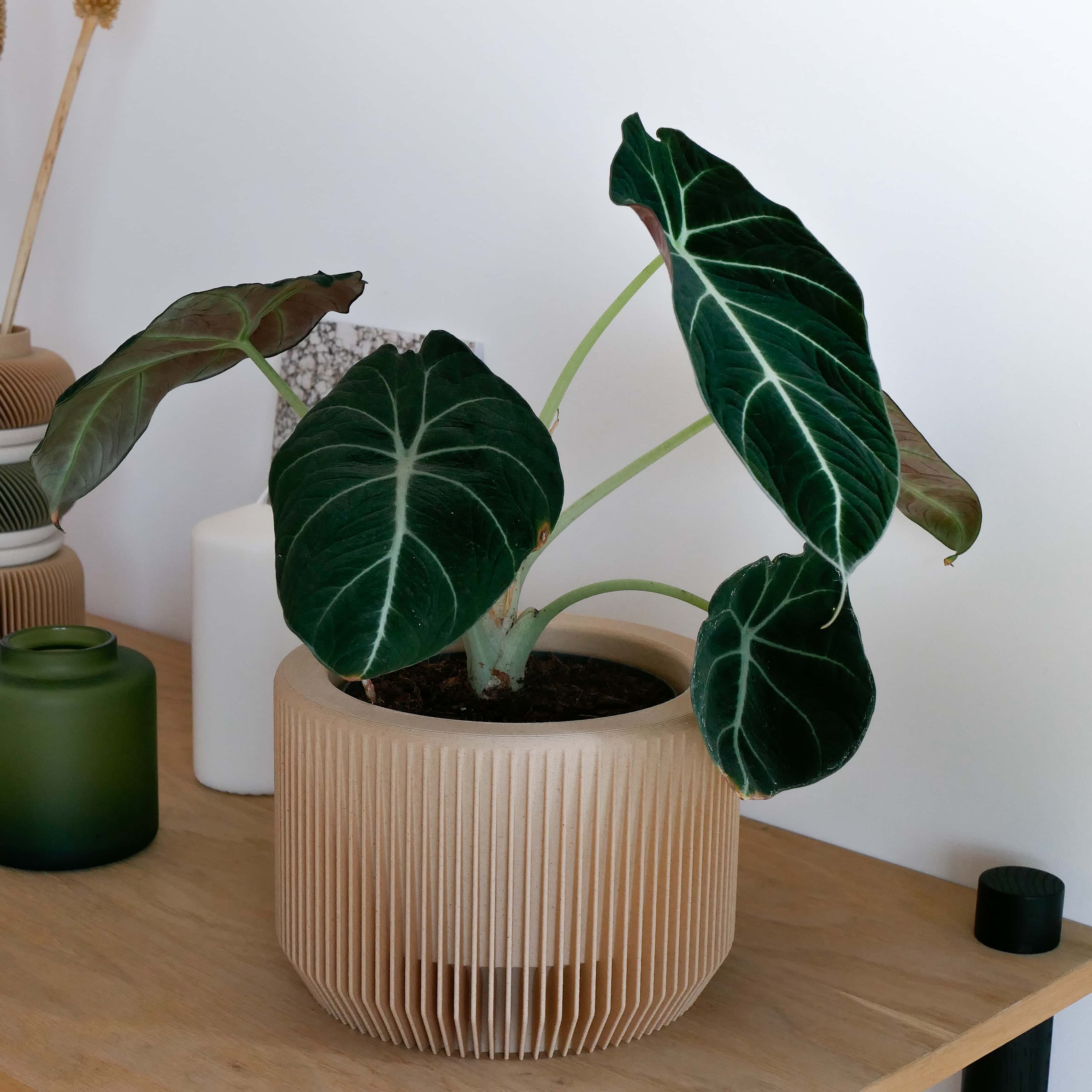 Minimalist and versatile, the beige Praha planter is perfect for creating a calm, natural setting that brings a sense of harmony to your home. #color_Natural