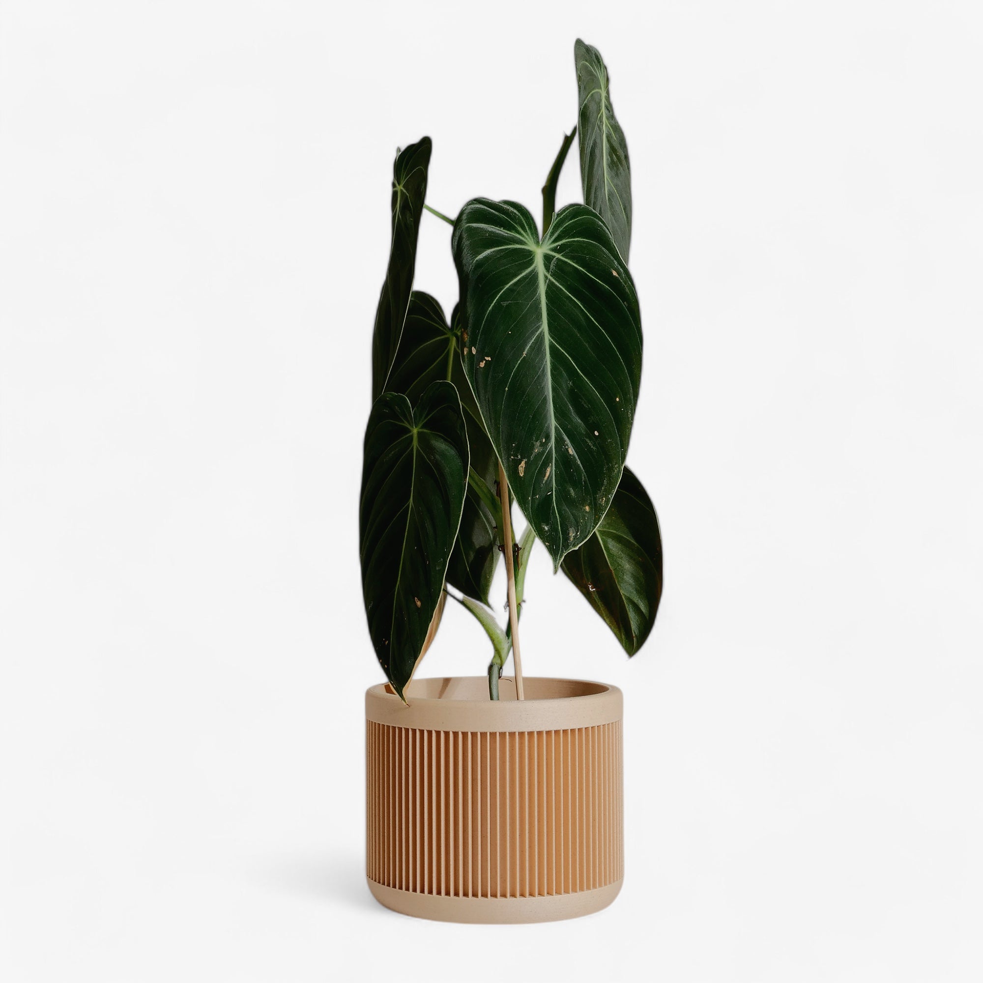 Japan planter in beige - This Japandi-inspired pot in soft beige brings warmth and elegance to any space, perfect for succulents and indoor plants. Minimum design #color_Natural