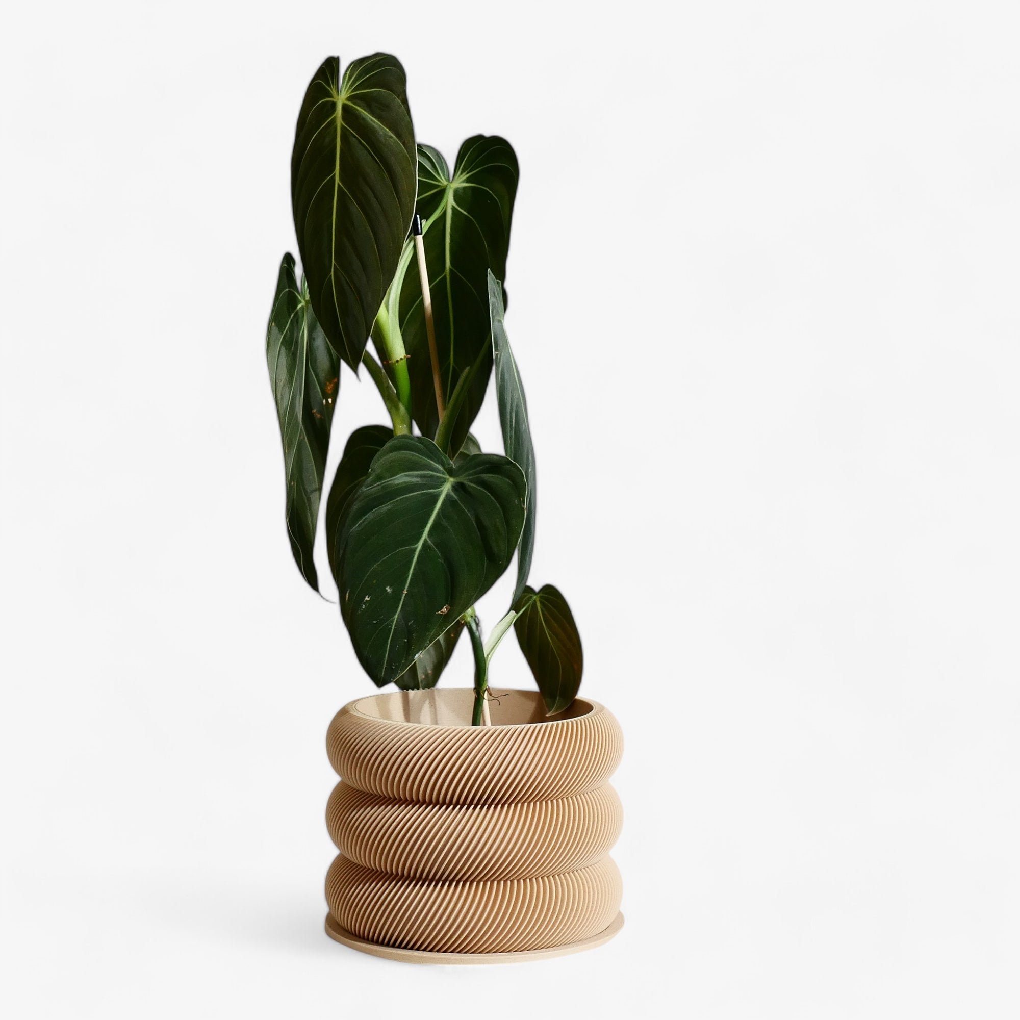 Unique wooden planter textured Kaki - Minimum design #color_natural