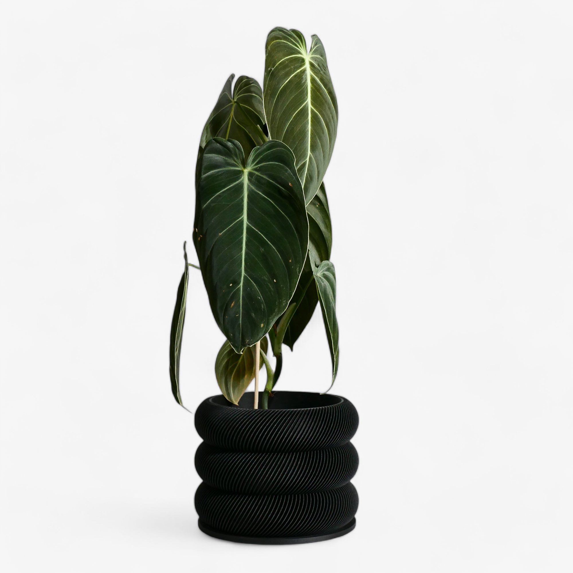 Unique wooden planter textured Kaki - Minimum design #color_black