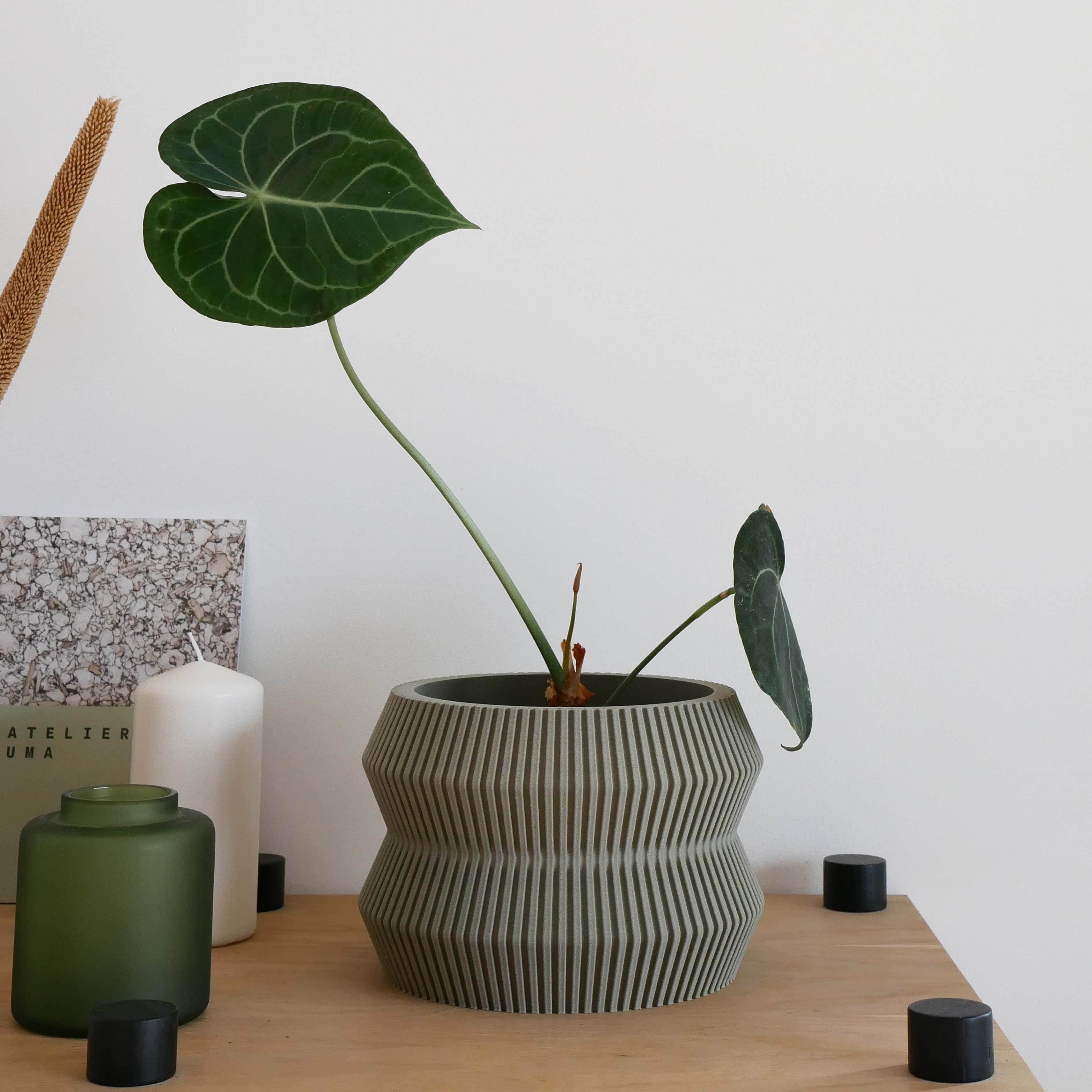 The Olive green Ito planter, on a shelf, with a philodendron plant, surrounded by some home decor accessories #color_olive