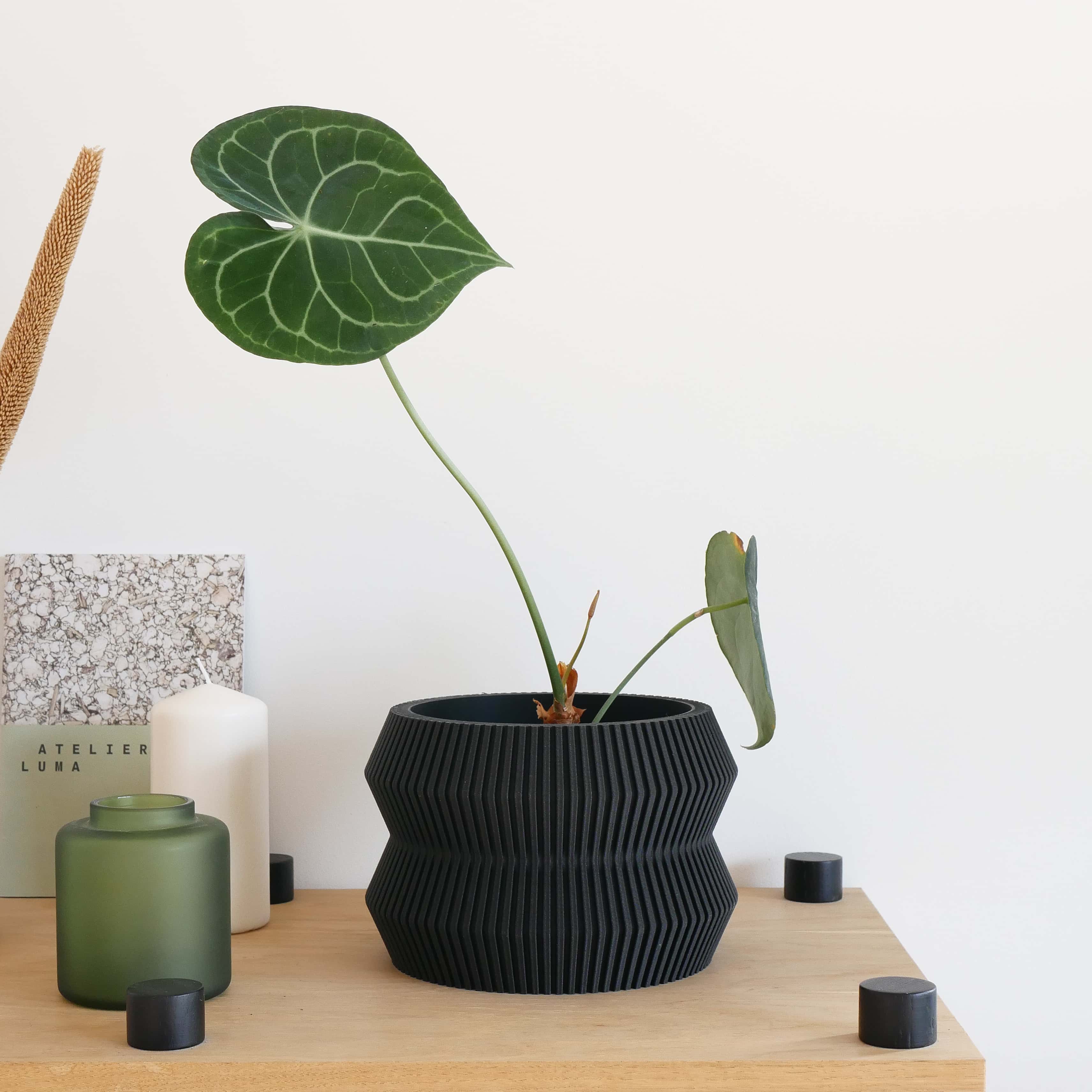 The Black textured ito planter on a wooden shelf, with a beautiful and graphic plant. #color_Black