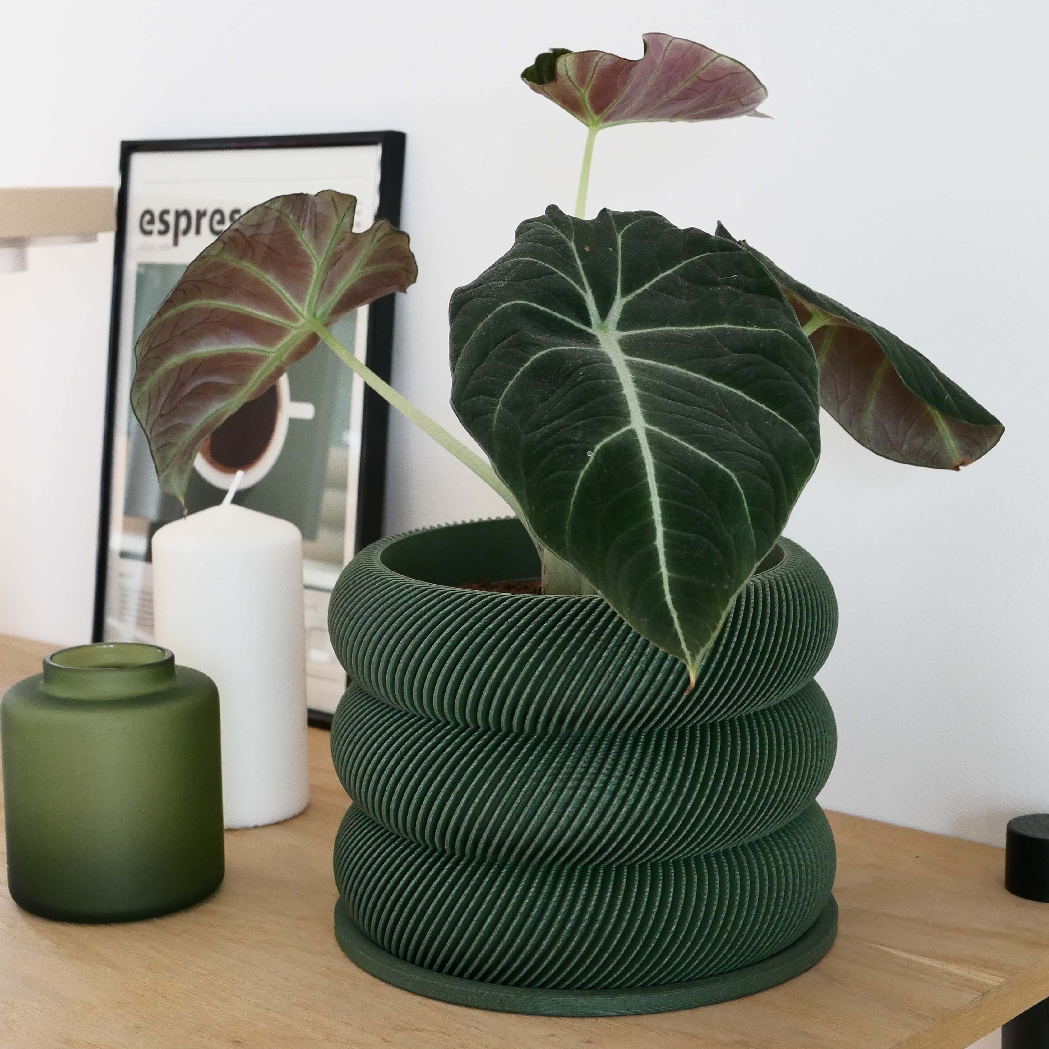 Unique wooden planter textured Kaki - Minimum design #color_Green