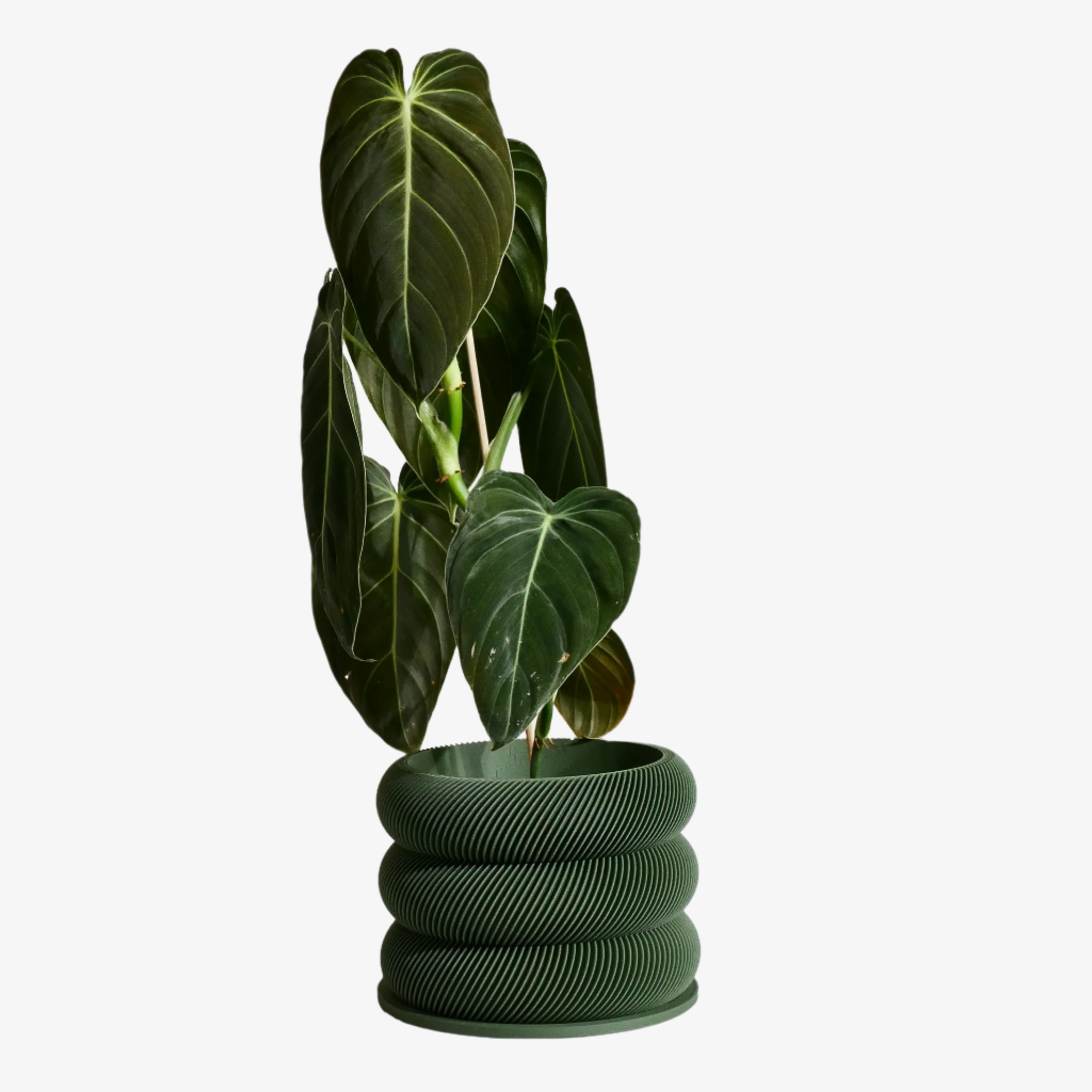 Unique wooden planter KAKI Minimum design #color_green