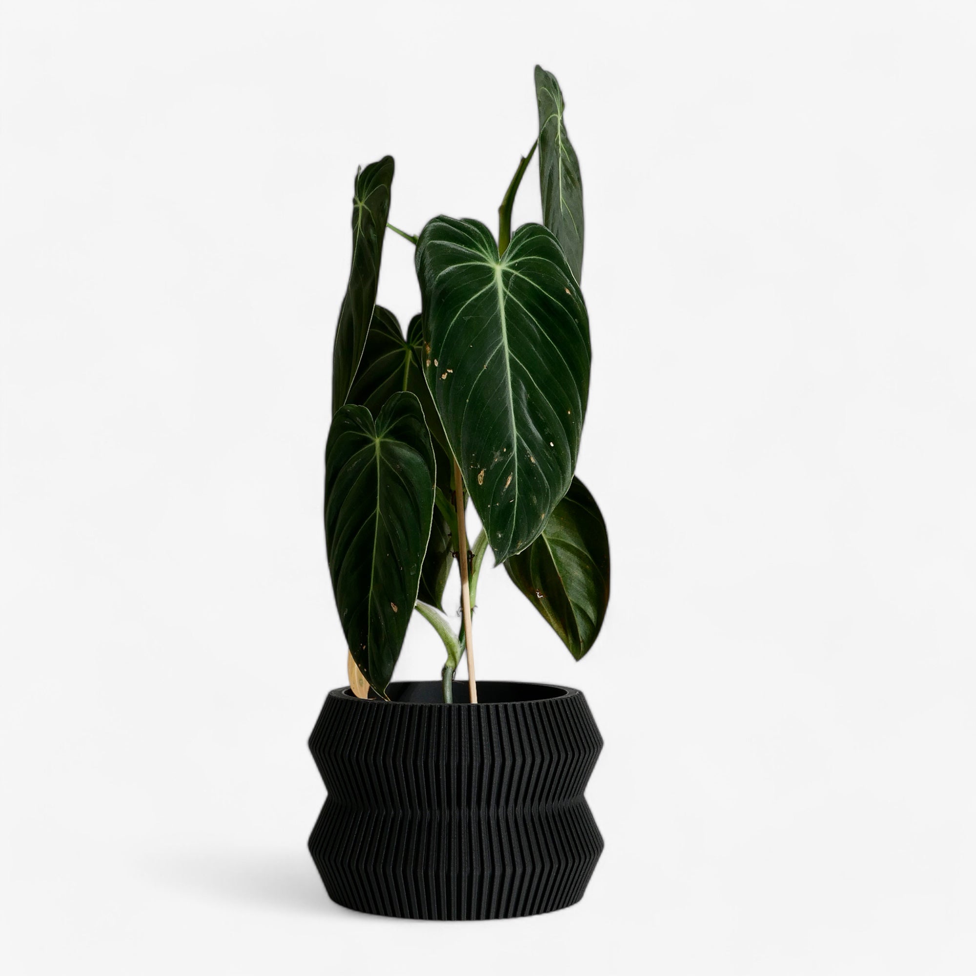 ITO planter in black, with a sleek, minimalist design and textured finish, perfect for creating a bold, modern look in any space. #color_Black