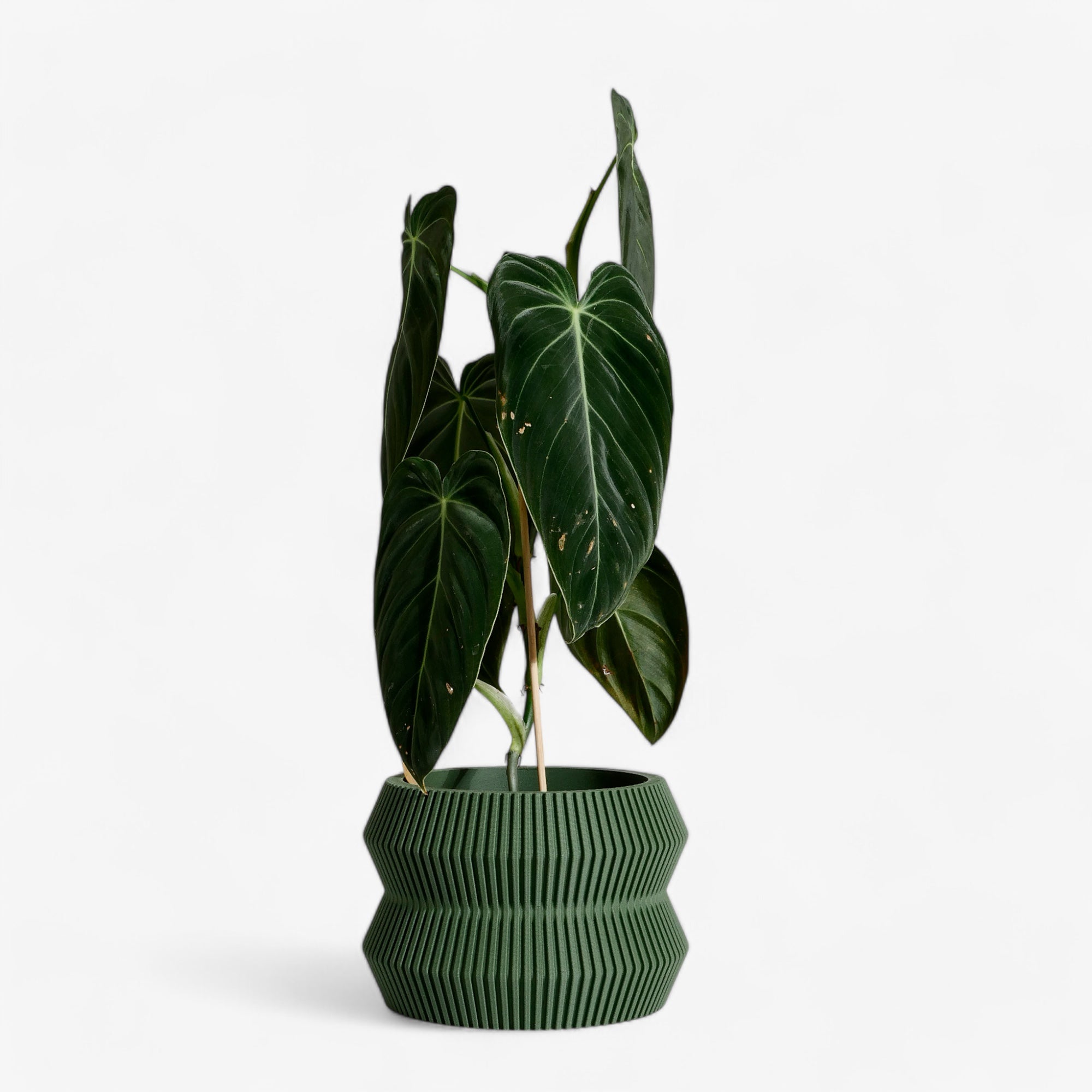 ITO planter in green, featuring a unique textured design, perfect for minimalist interiors and bringing a natural, calming touch to your decor #color_green