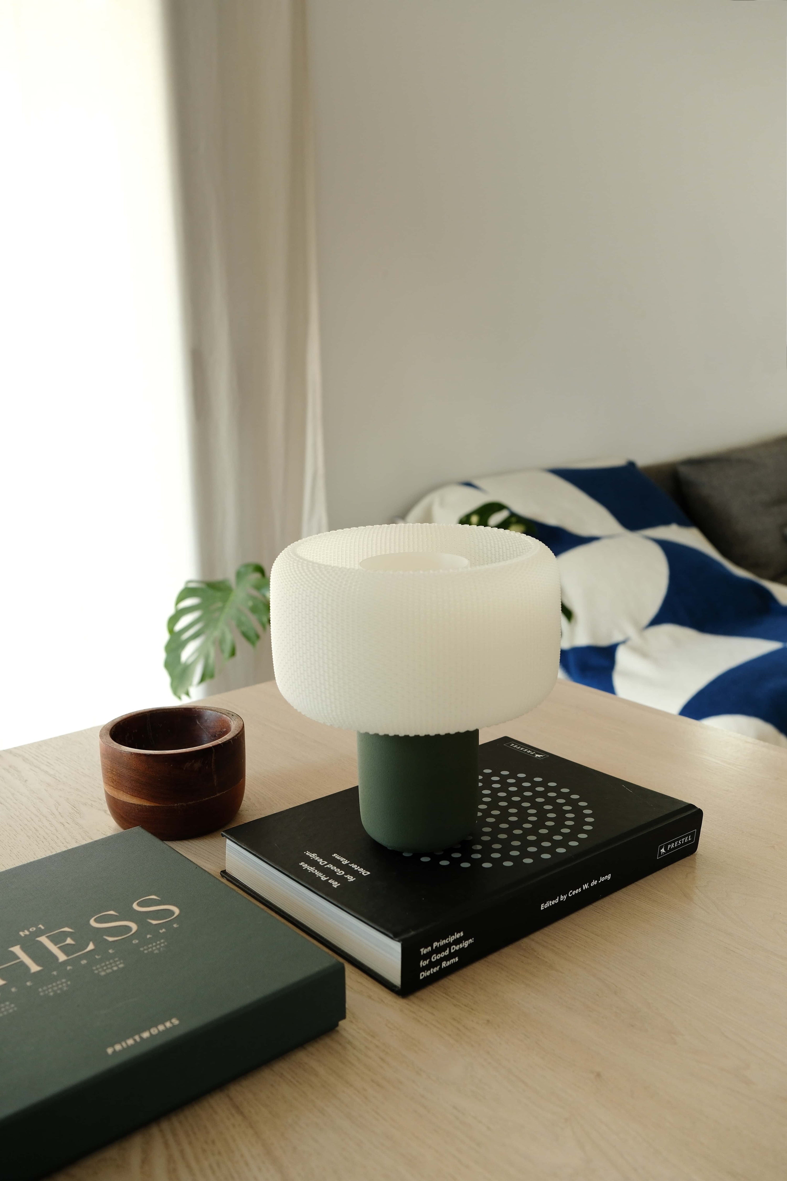 Decorative lamp on a book with a plant and books in the background #color_Green