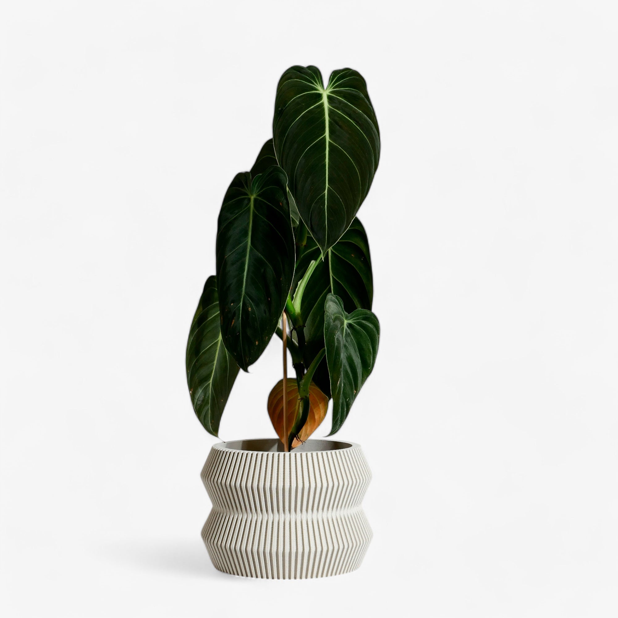 Misty white ITO planter, with clean, minimalist lines and a textured surface, bringing a serene, Scandinavian touch to your home. #color_Mist white