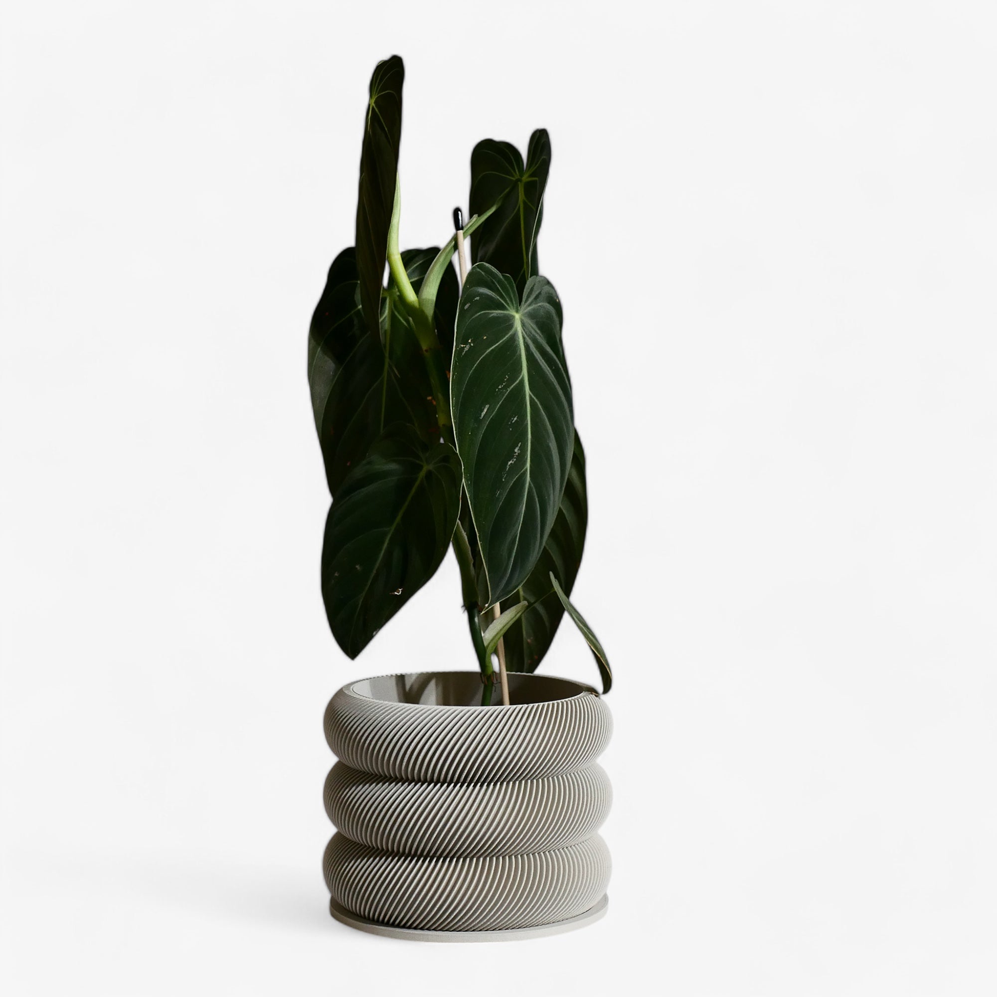 Unique wooden planter textured Kaki - Minimum design #color_mist white