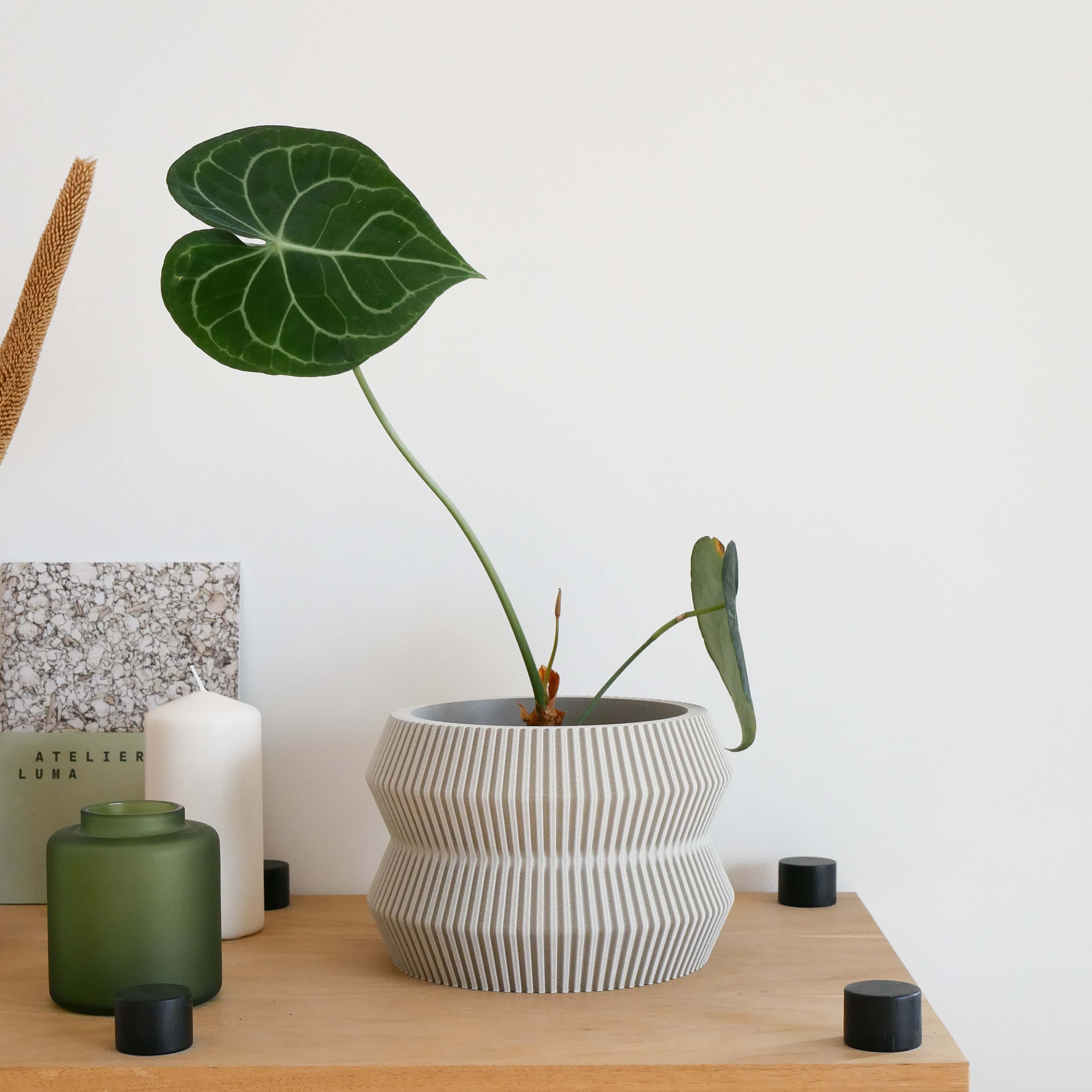 The Off-white ITO wooden planter on a shelf, with a philodendron plant, with some home accessories. #color_Mist white