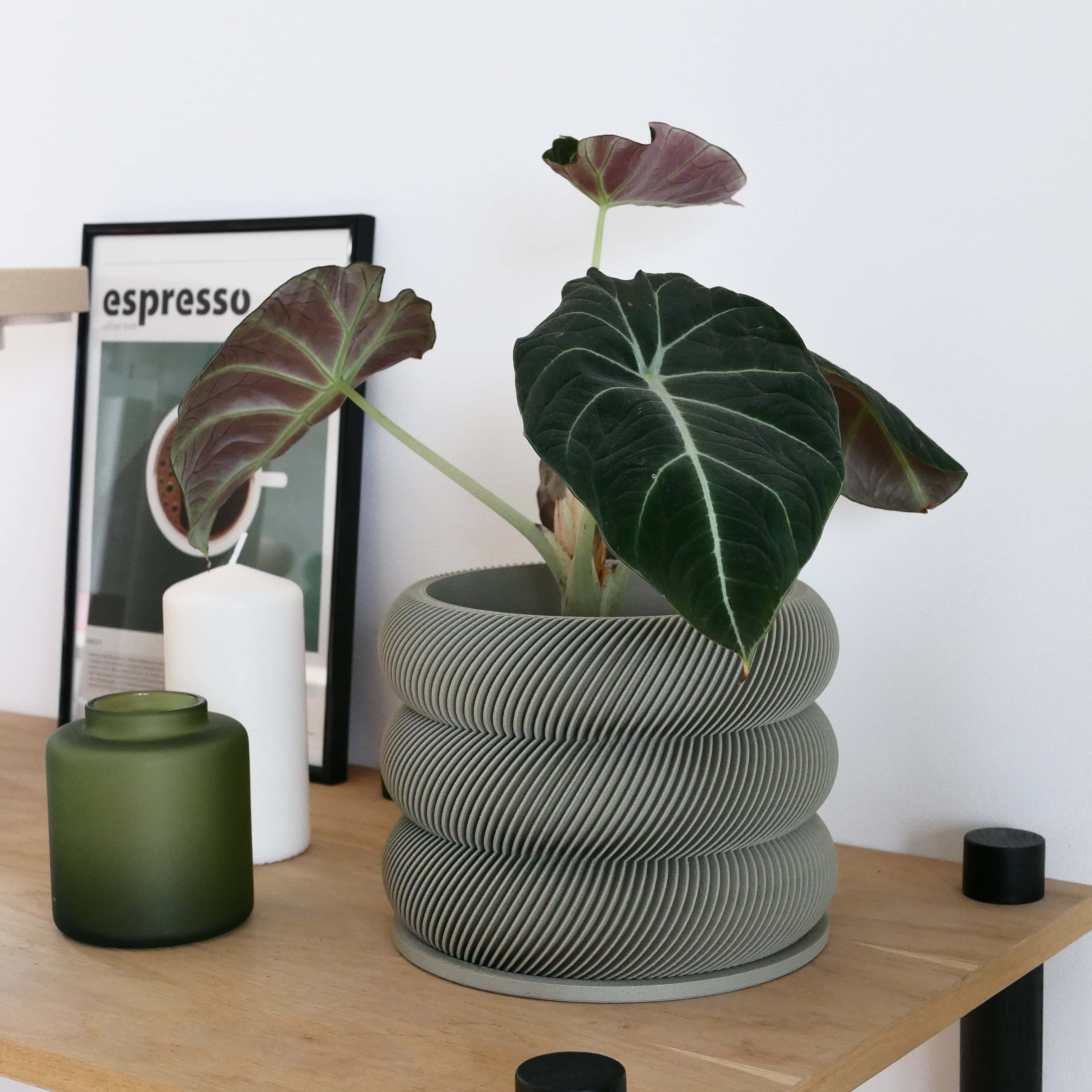 Unique wooden planter textured Kaki - Minimum design #color_olive