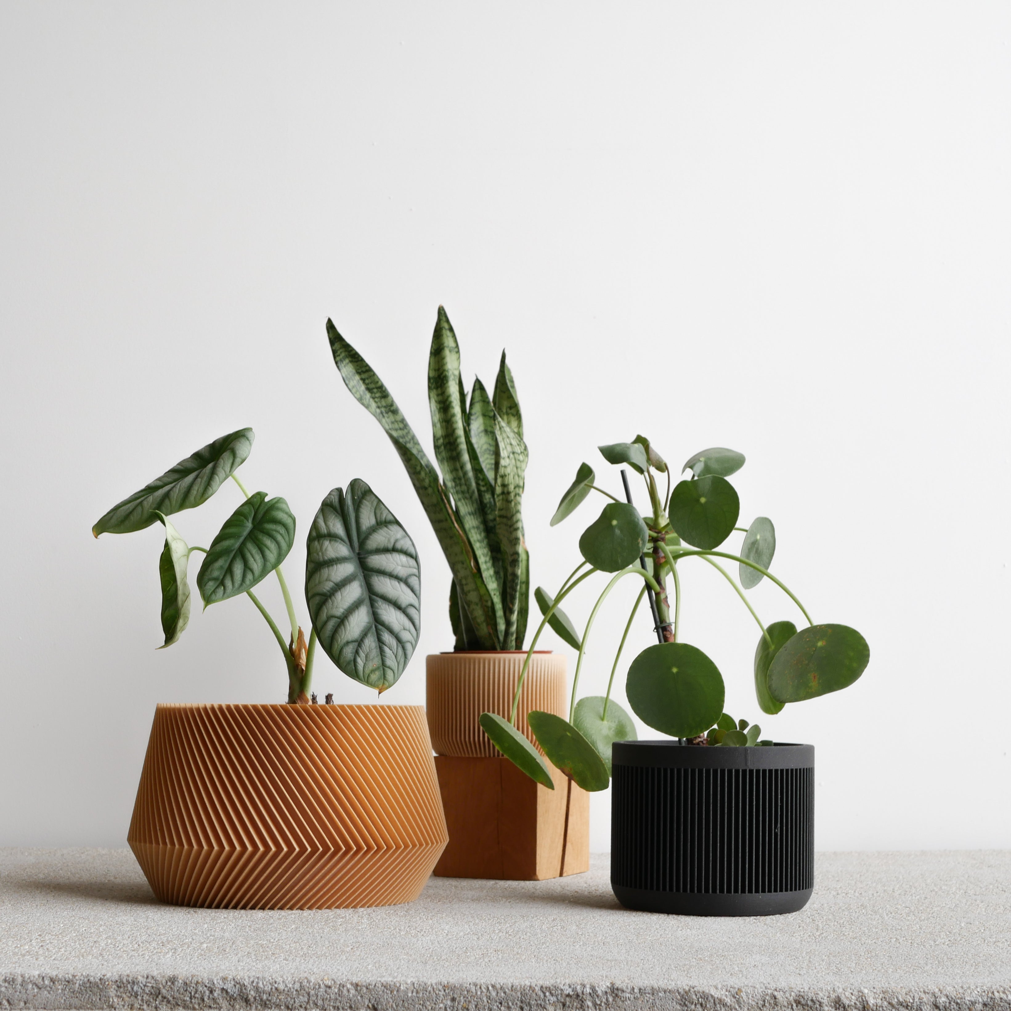 Japan indoor planter Black #color_Black