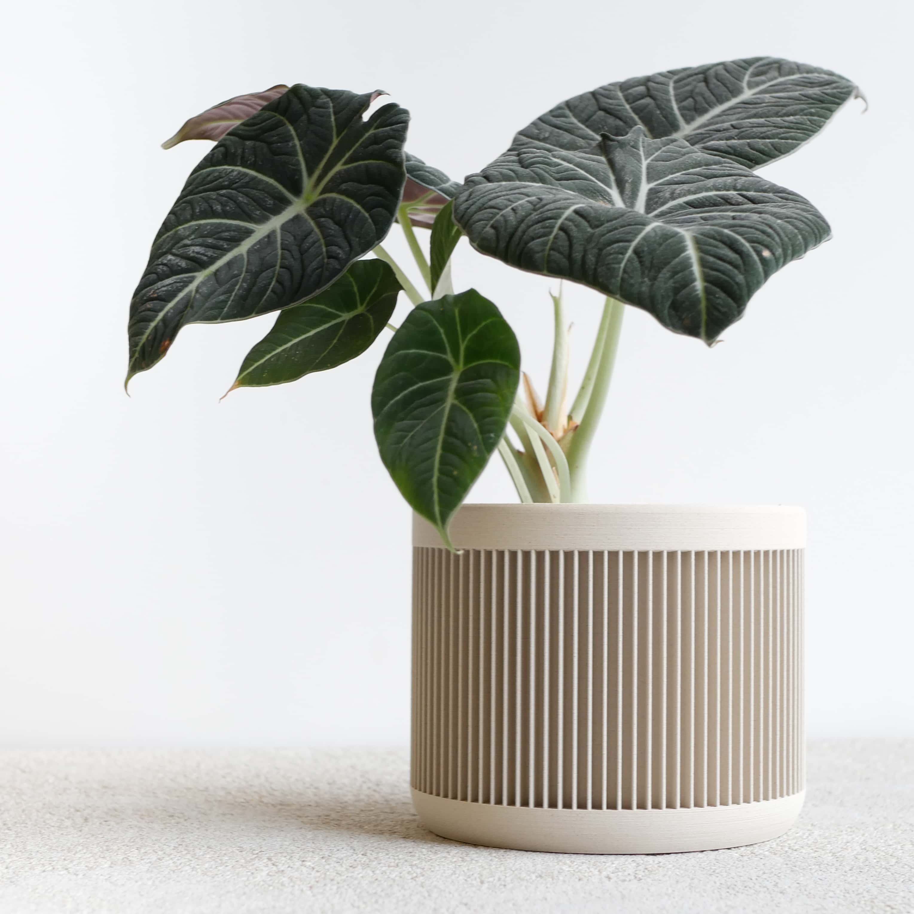 Japan wood planter Mist White #color_Mist white