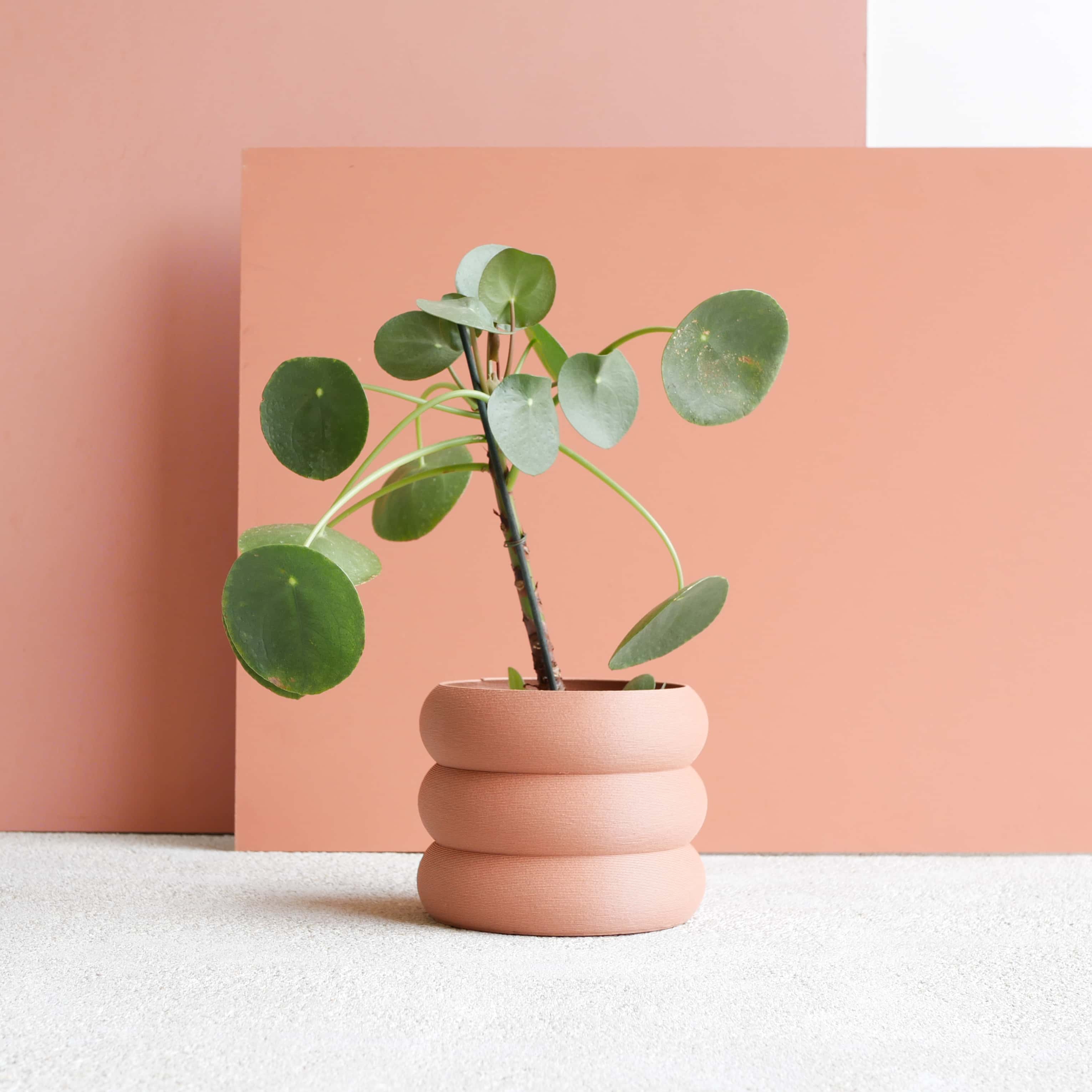 Eden Vase #color_terracotta