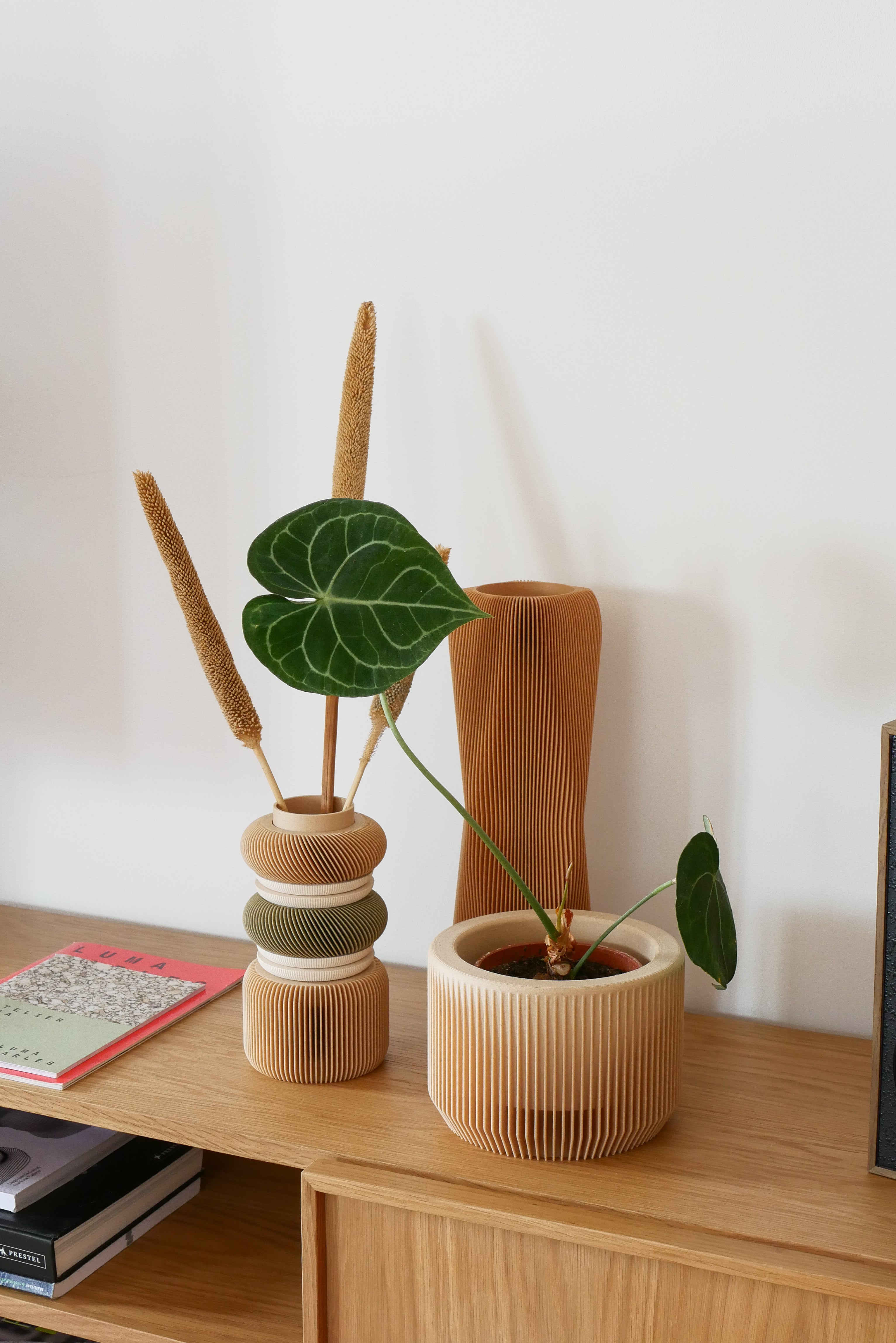 Praha planter with potted plant on a wooden shelf #color_natural
