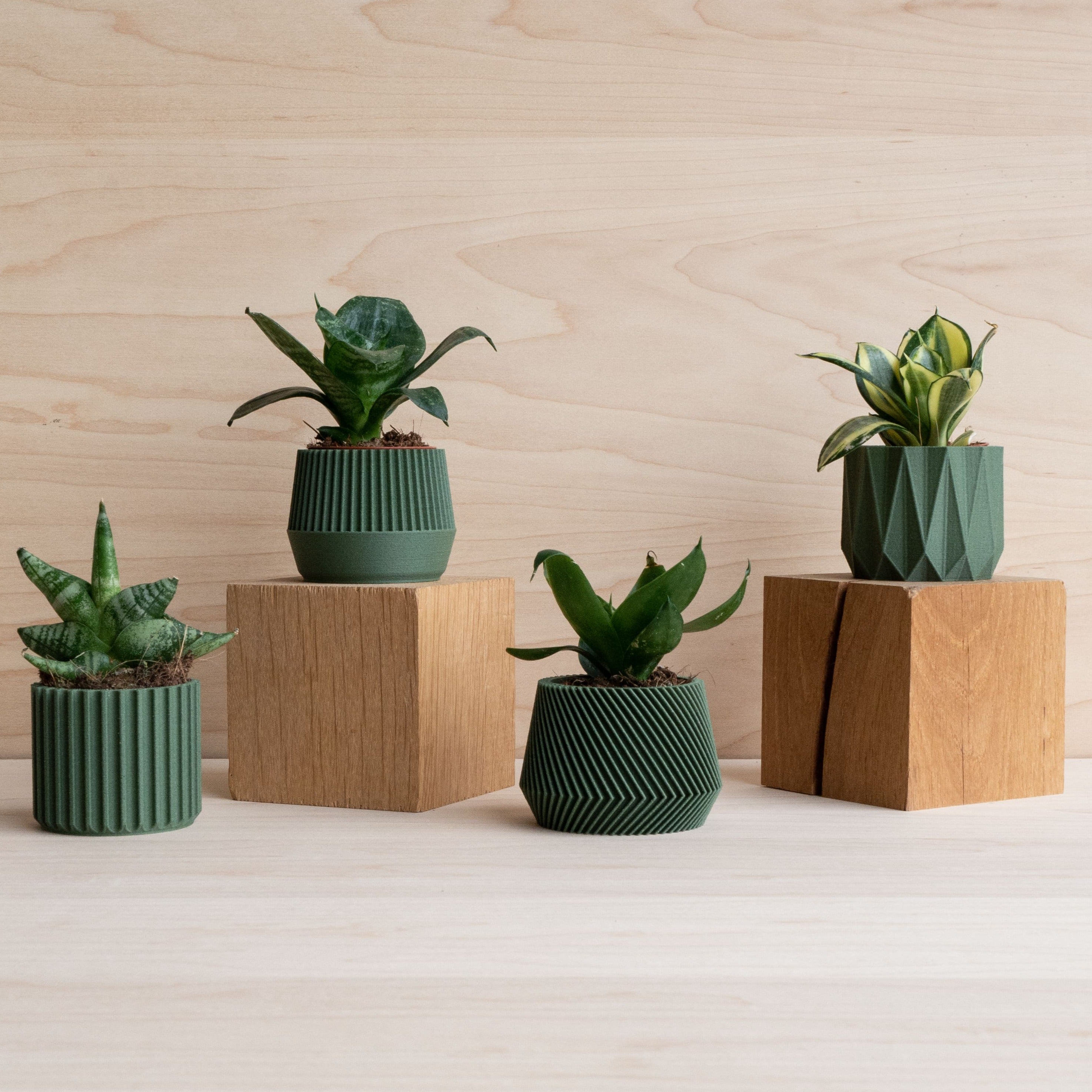 Set of 4 planter Oslo Kobe Stockholm Origami #color_Green