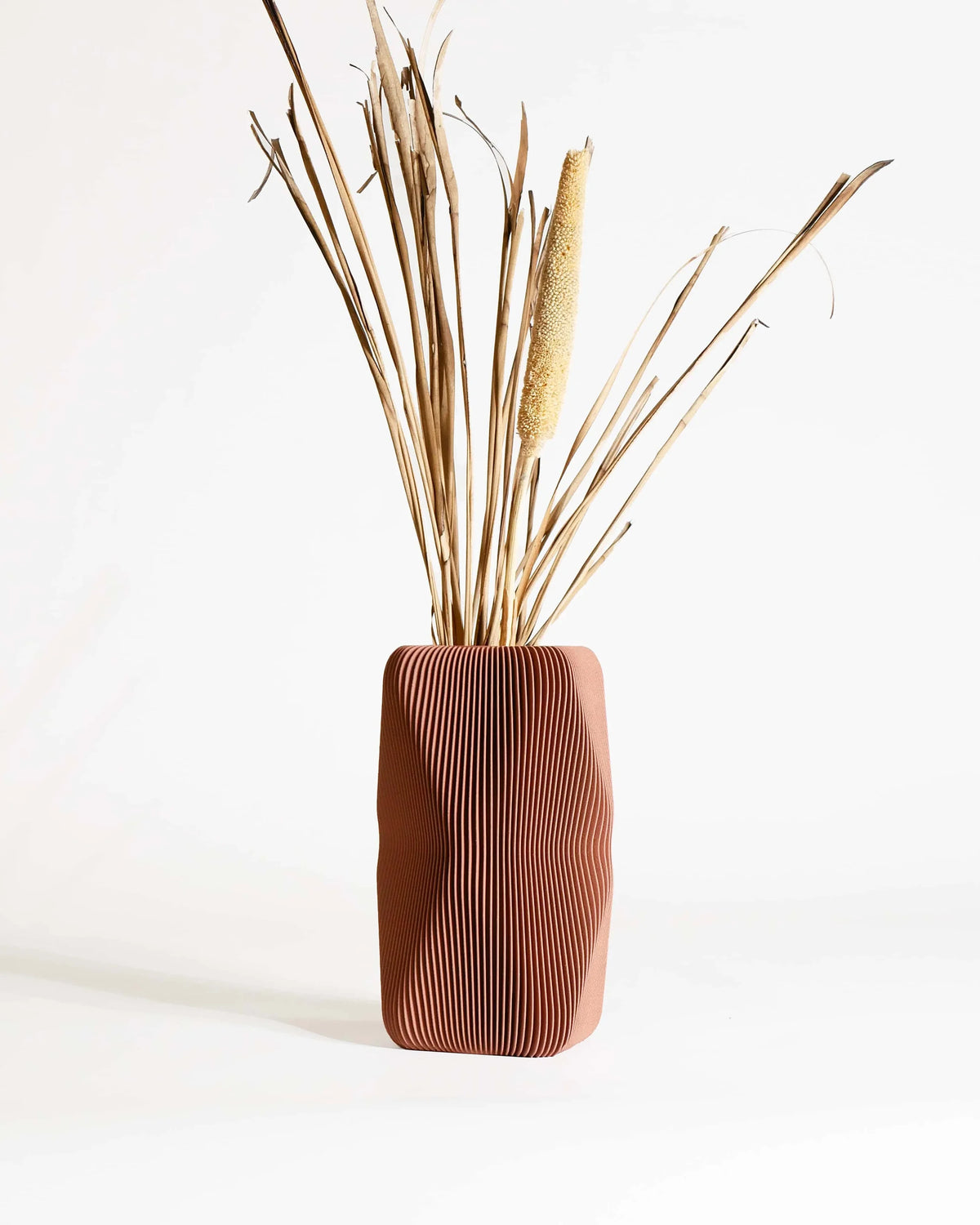 SOHO sculptural vase Terracotta with dried cattail stems, wave-ribbed texture, 20cm, made in France