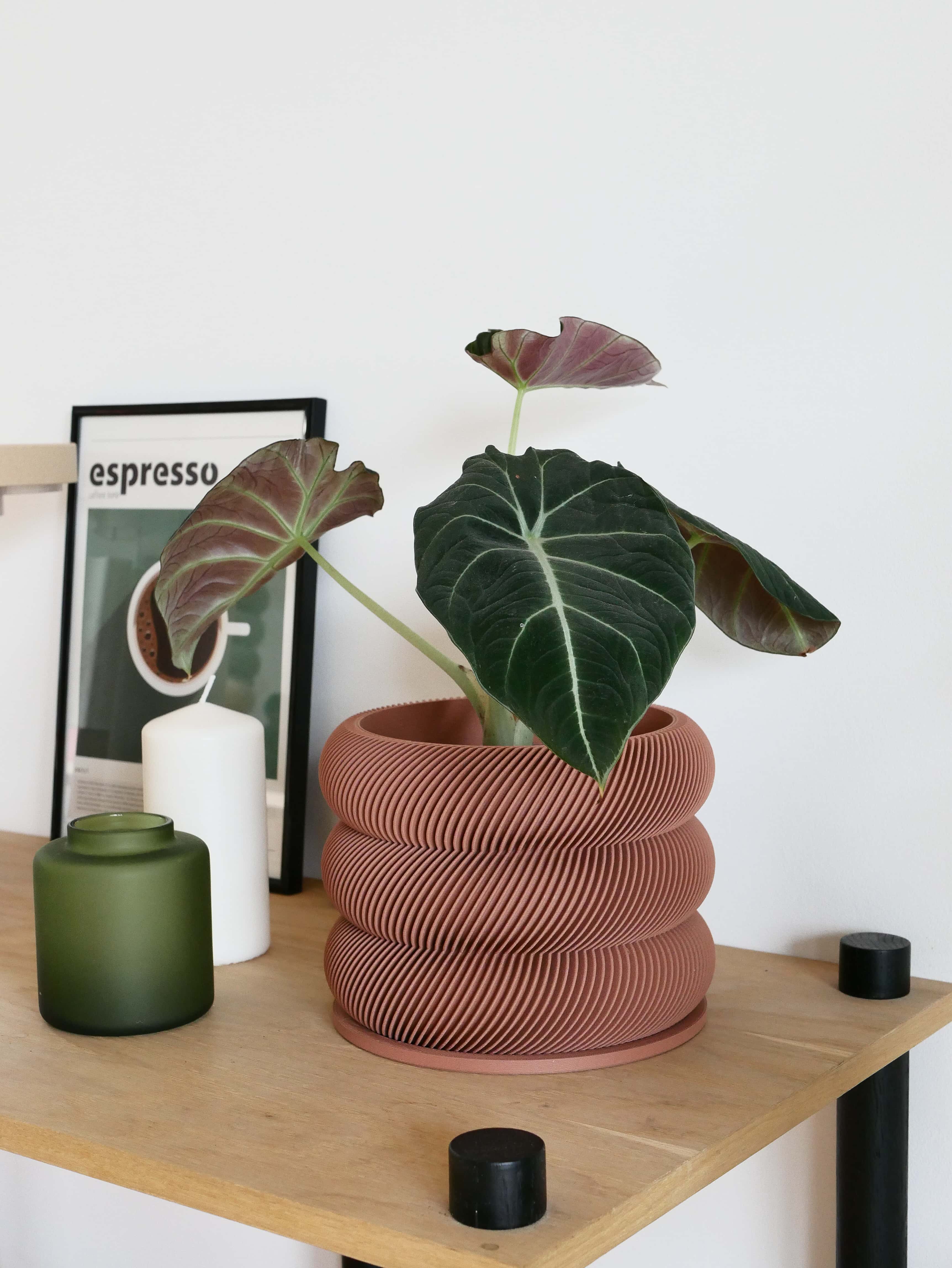 Unique wooden planter textured Kaki - Minimum design #color_terracotta