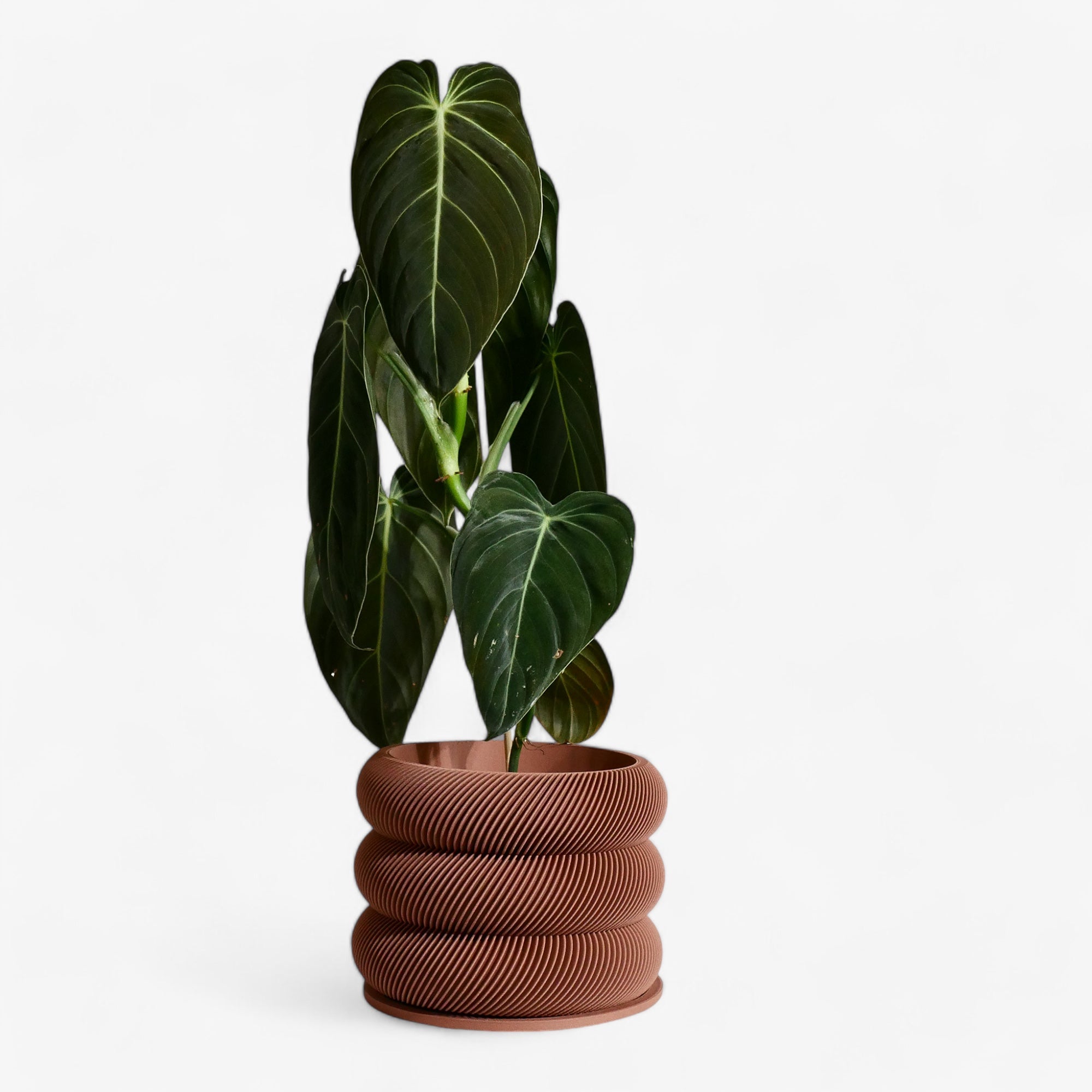 Unique wooden planter textured Kaki - Minimum design #color_terracotta