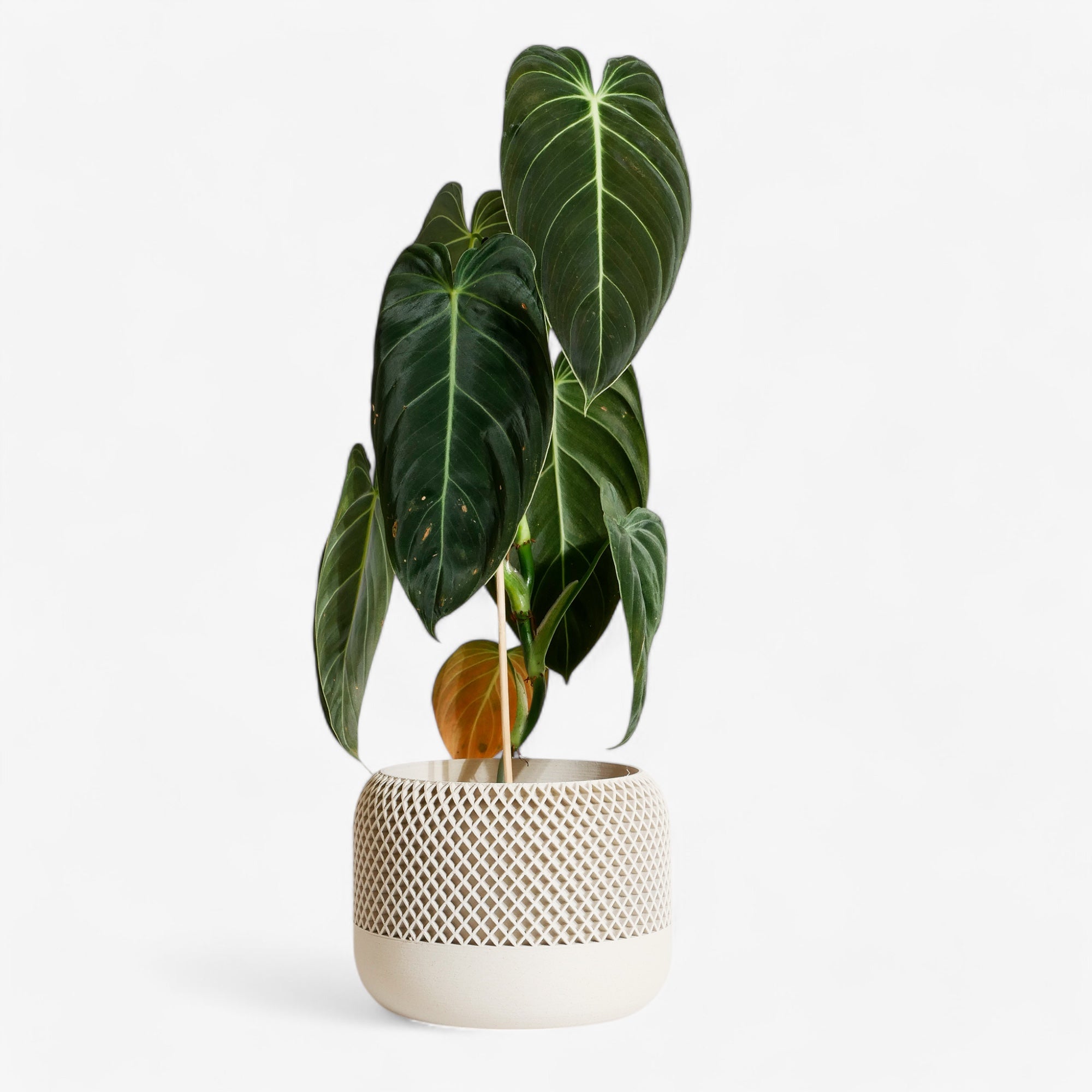 Sustainable Apple planter in misty white, featuring a modern textured finish for houseplants #color_Mist white