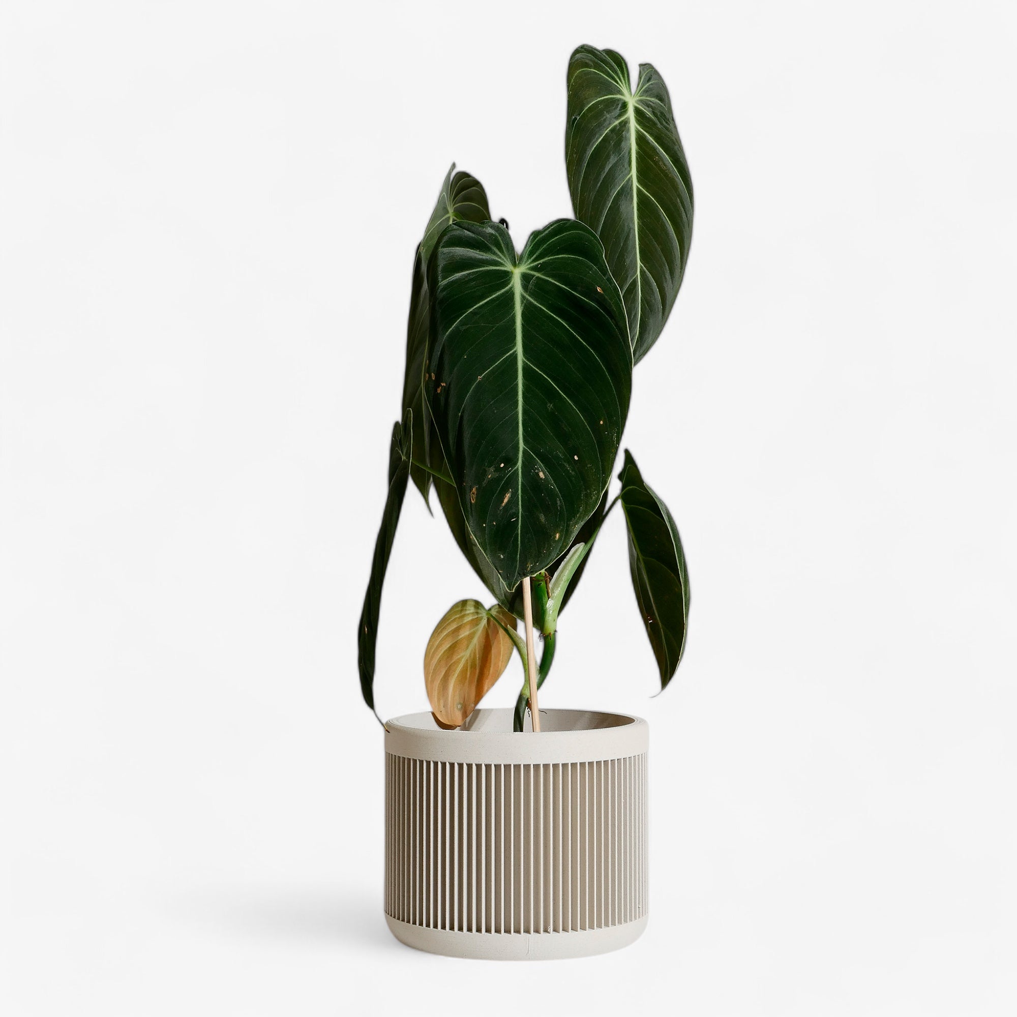 Misty white Japan planter - Airy and calming for Japandi decor. #color_Mist white