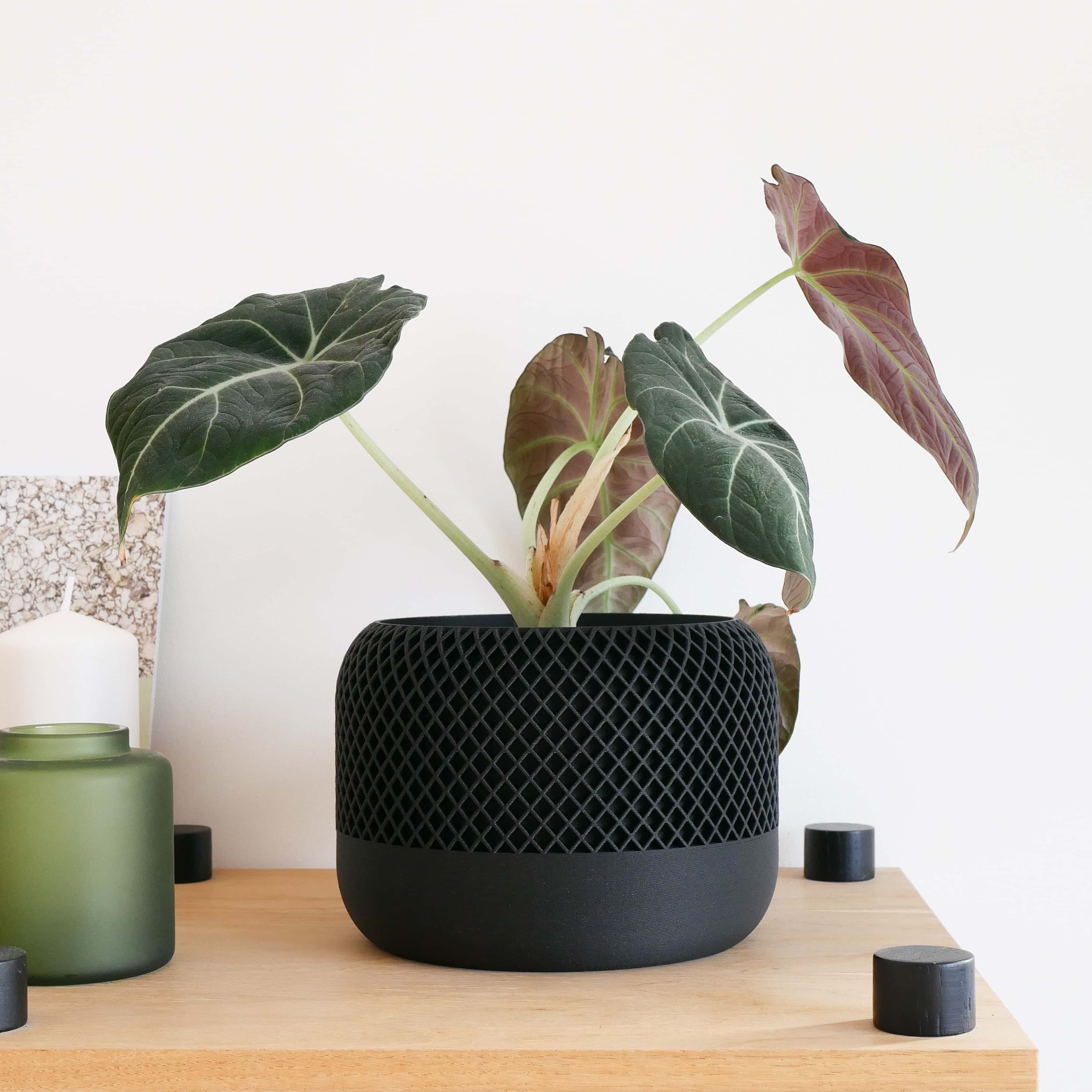 Black geometric indoor planter for hous plant, textured, with a philodendron plant #color_Black