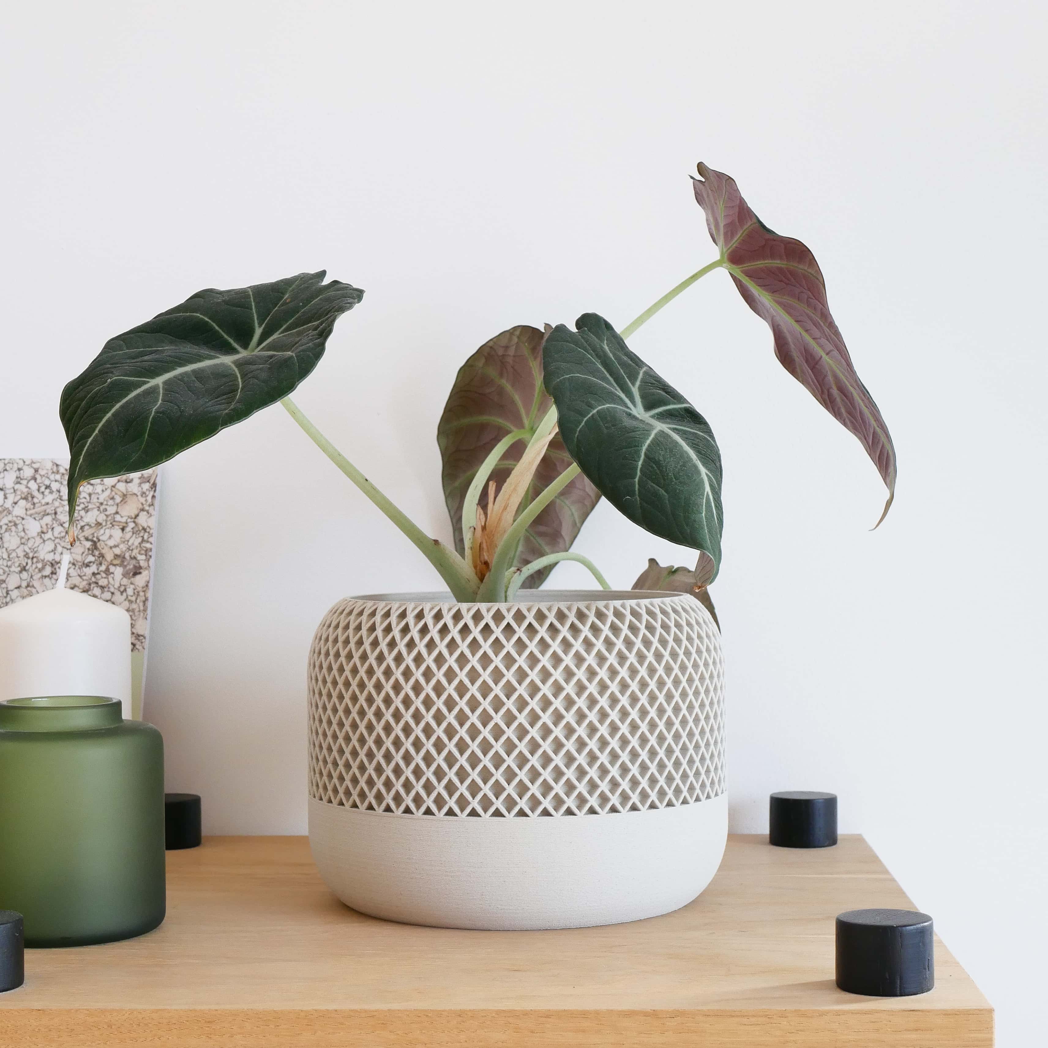 Off-white plant pot, with philodendron plant #color_Mist white