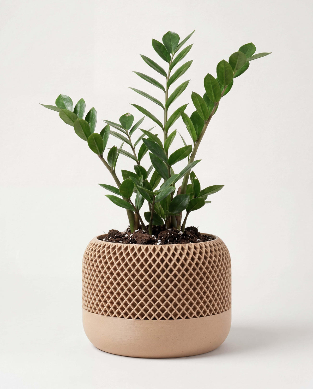 APPLE Textured Planter Natural | Bio-Composite Wood | Minimum Design