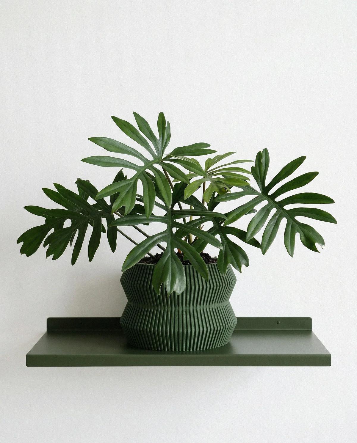 Fioriera ITO | Verde Bosco