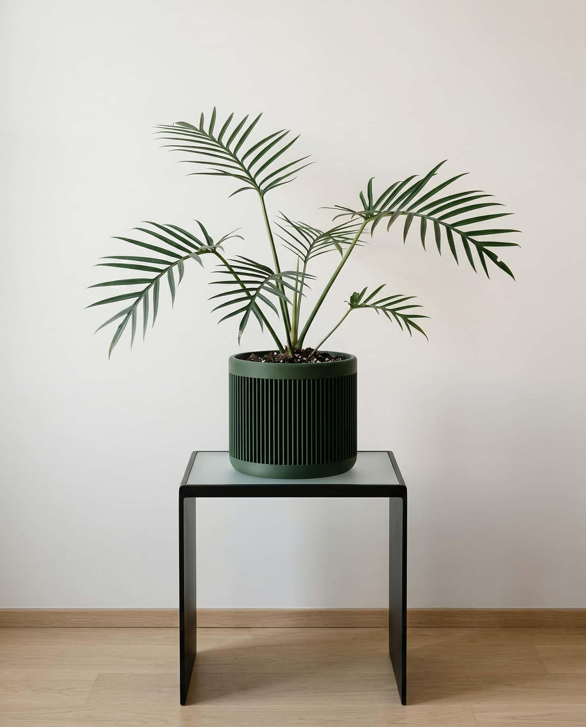 JAPAN Green plant pot with palm on metal side table, vertical ribbed texture, minimalist living room
