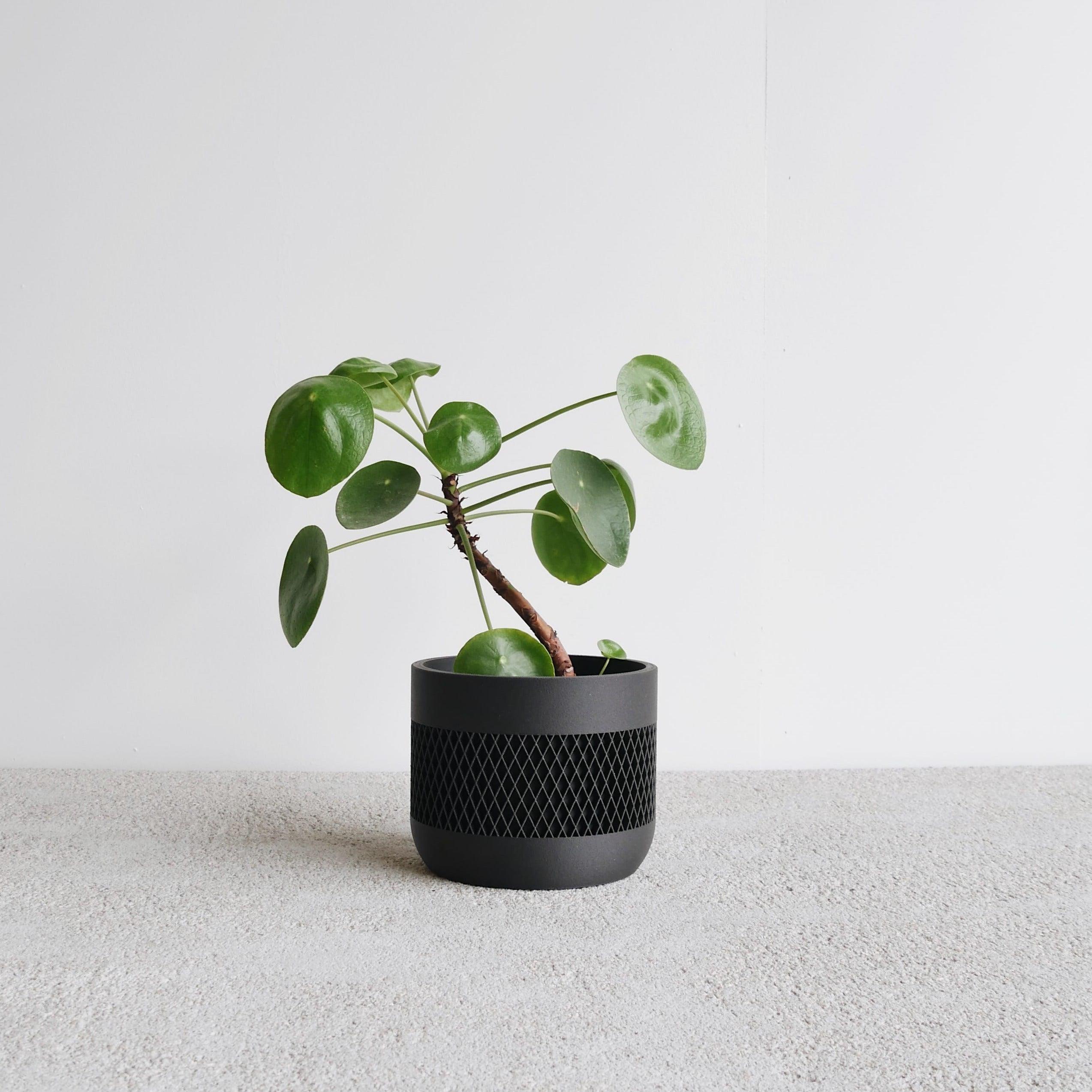 MAT Indoor Planter - Minimum Design 