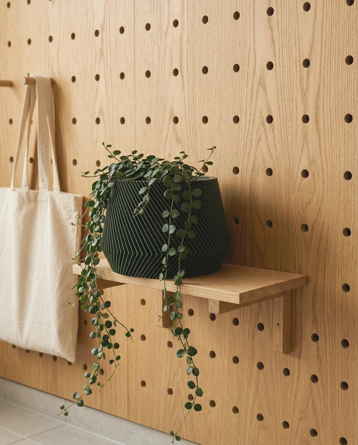 Pegboard wall with a plant and a bag on a shelf