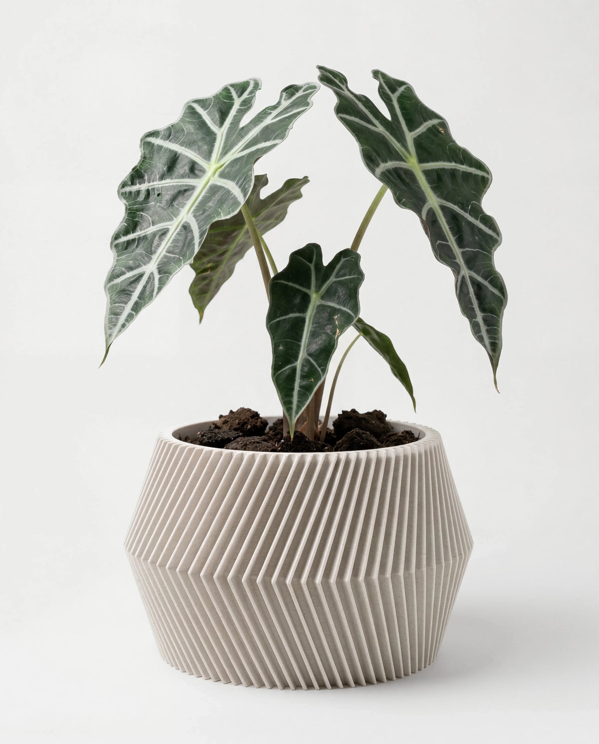 DISSIPAT Indoor Planter | Mist White