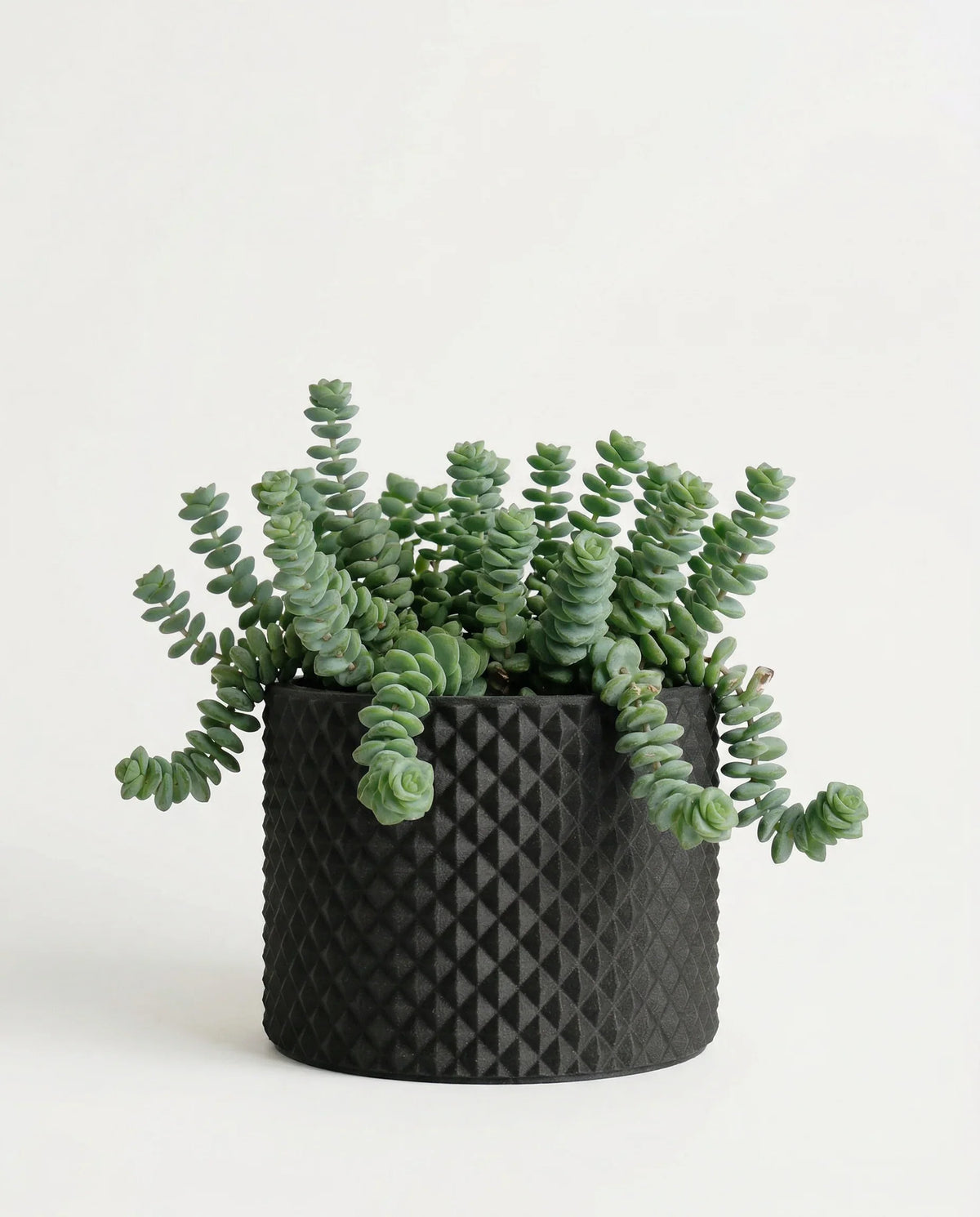 PIKO Indoor Planter