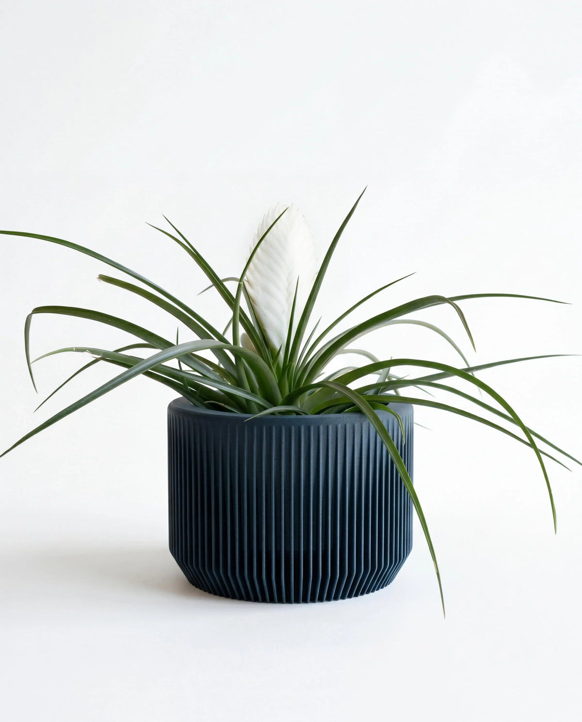 PRAHA Indoor Planter | Blue