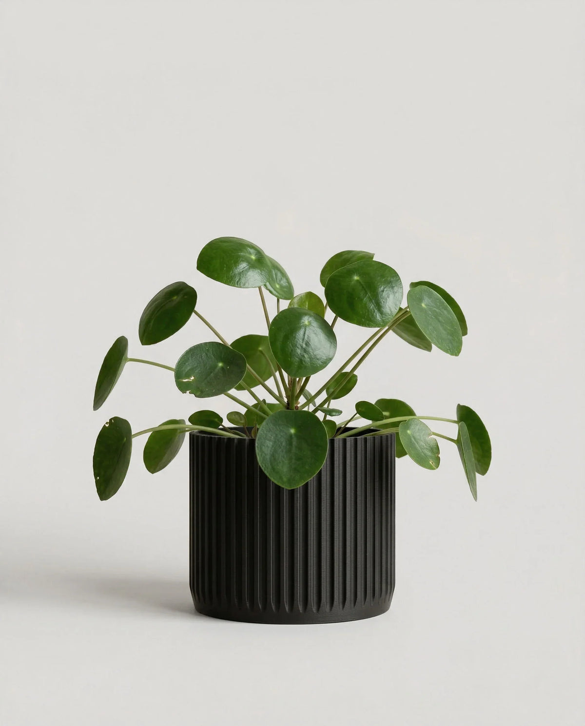 STOCKHOLM Indoor Planter