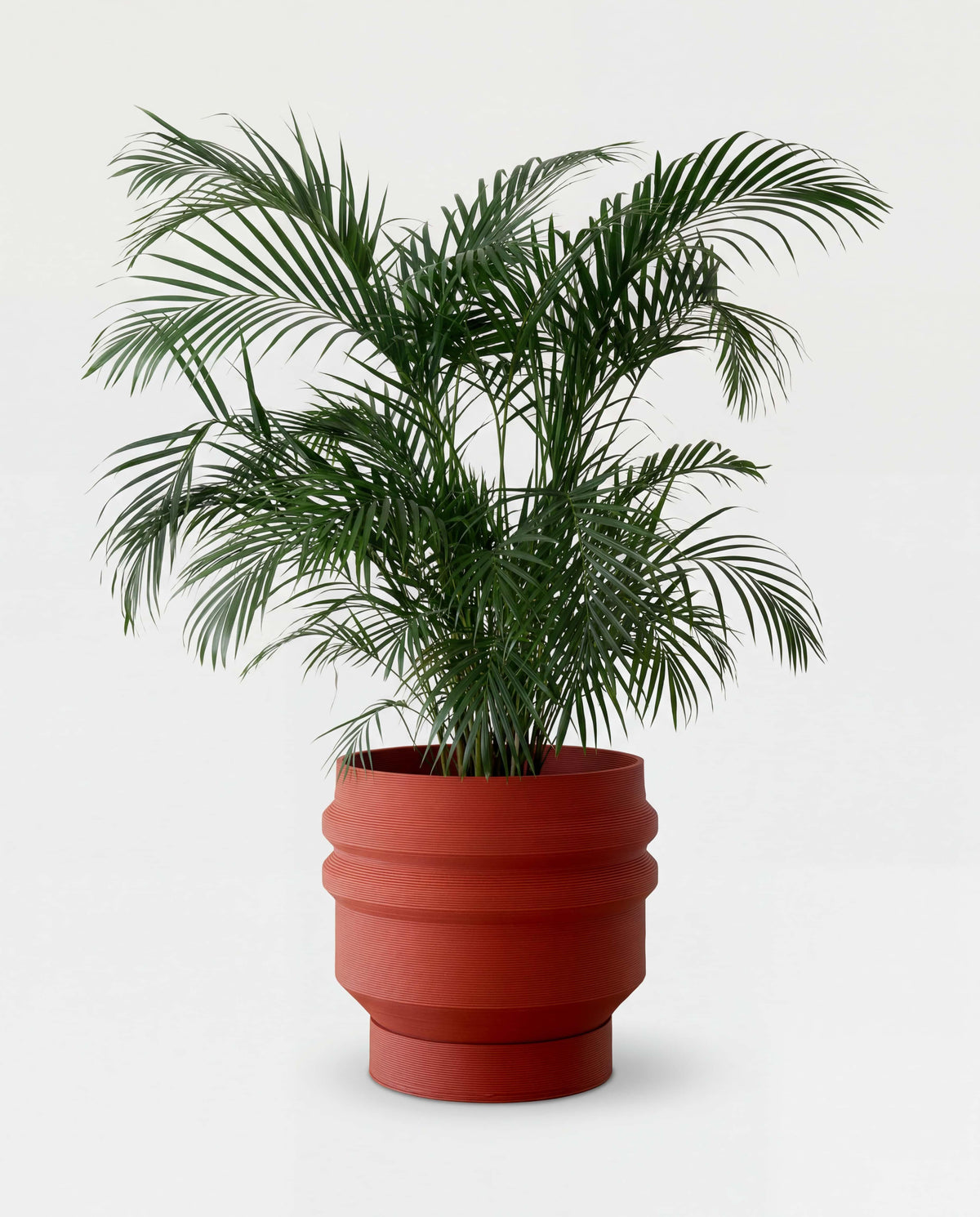 SYDNEY Wide Floor Planter | Terracotta Rust
