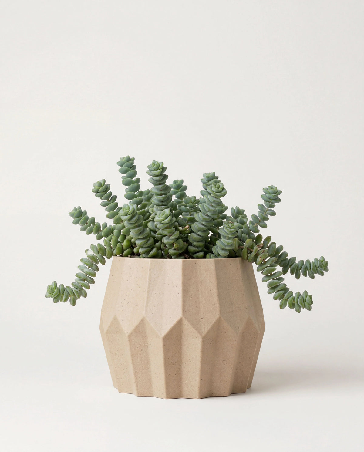 TOKYO Indoor Planter