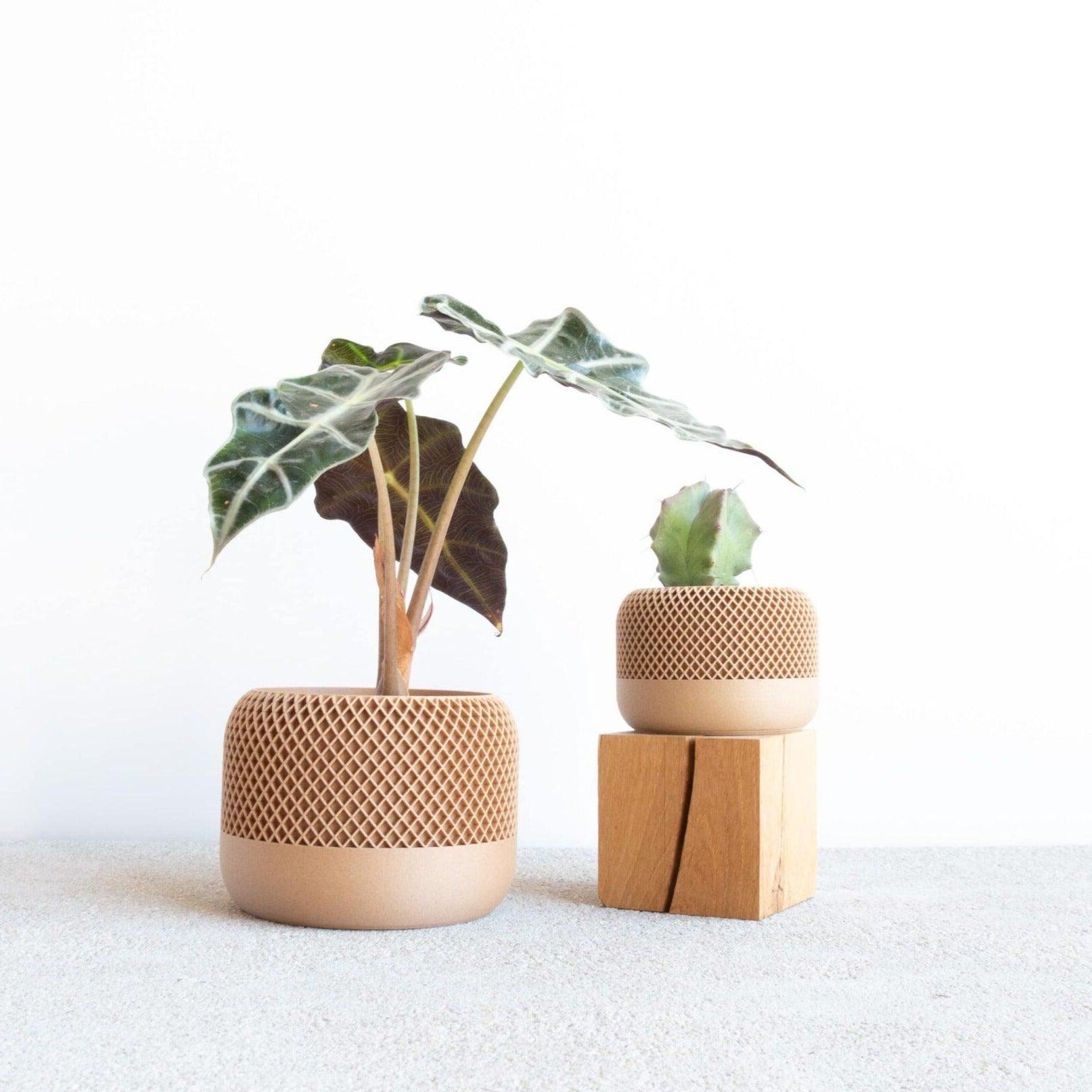 APPLE Indoor Planter - Minimum Design #color_natural