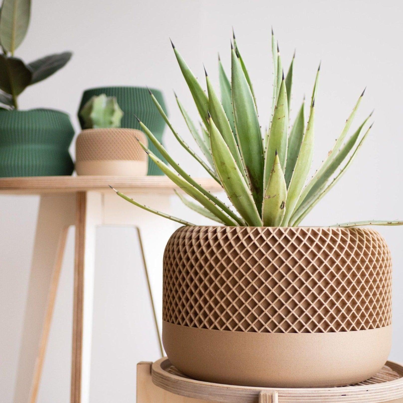 Large indoor planter Apple