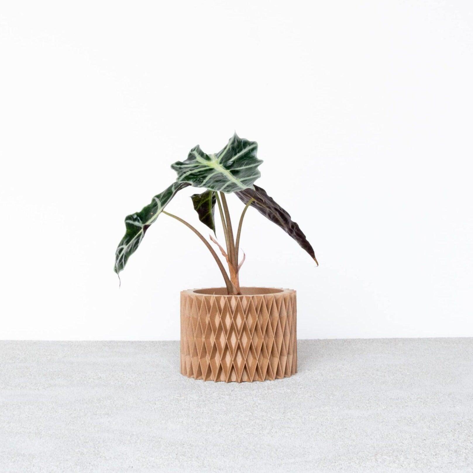 CROIX Indoor Planter - Minimum Design #color_Natural 