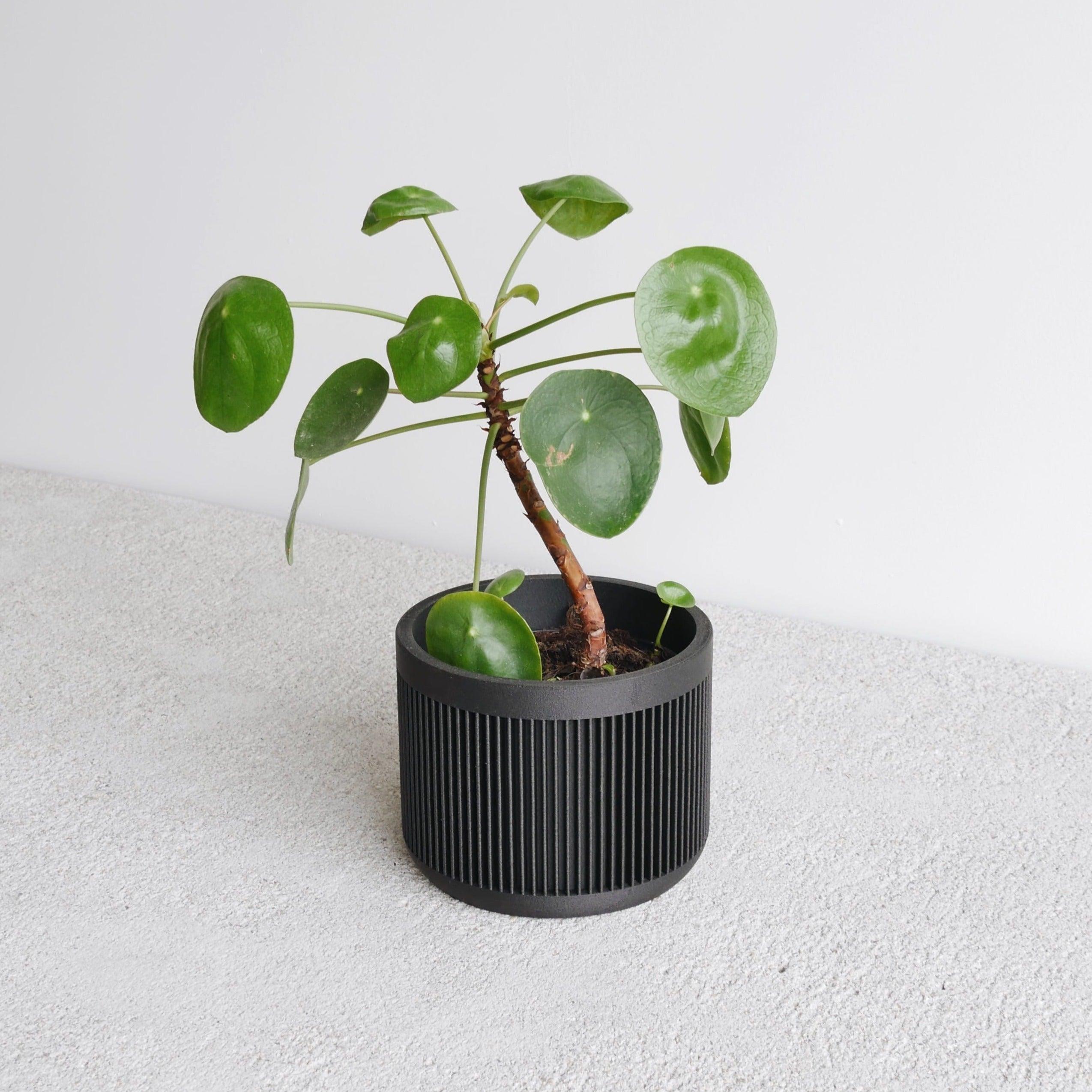 Pot Japan pour plante d'intérieur Noir - Décoration et objets durables -  ETHIQ