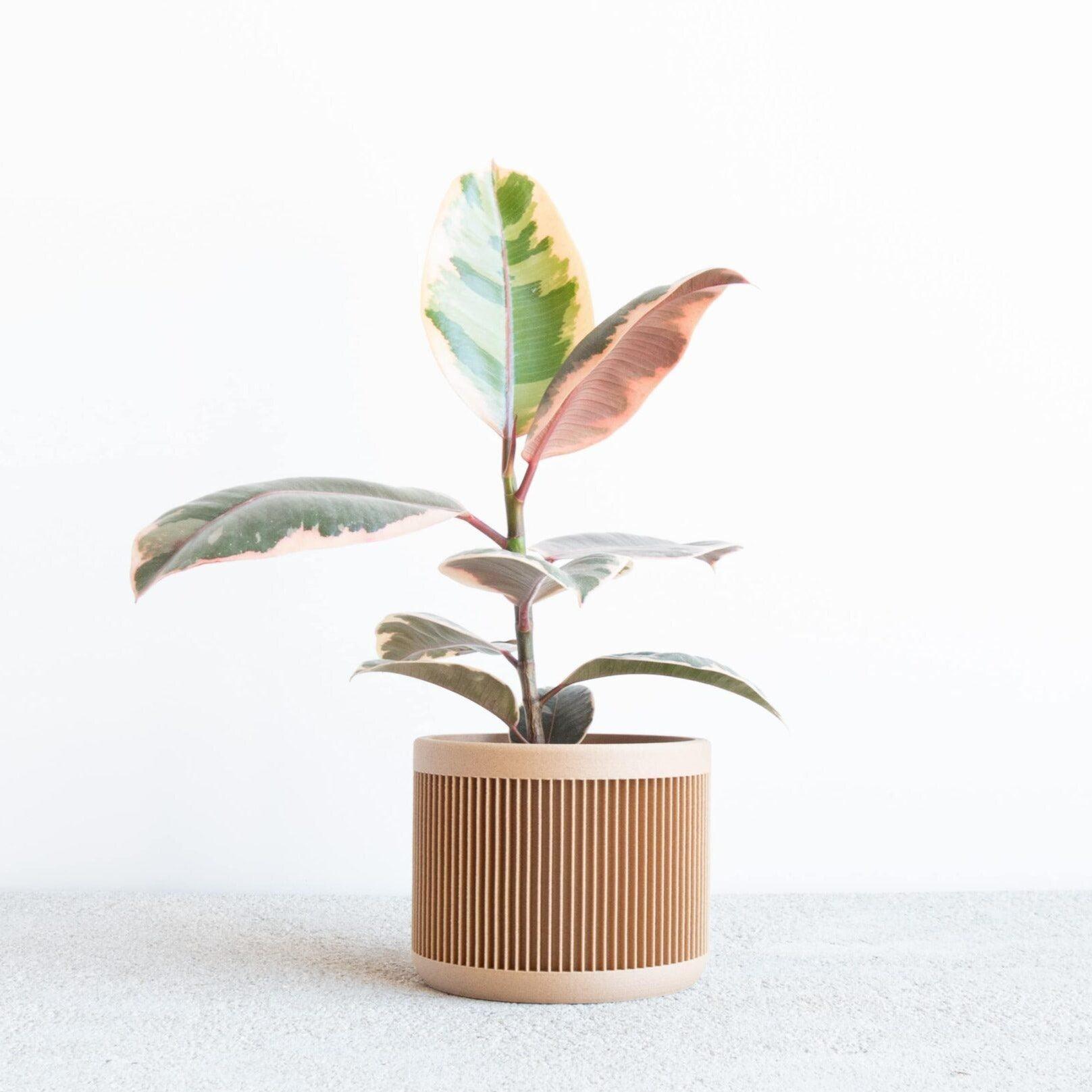 japan indoor planter #color_Natural