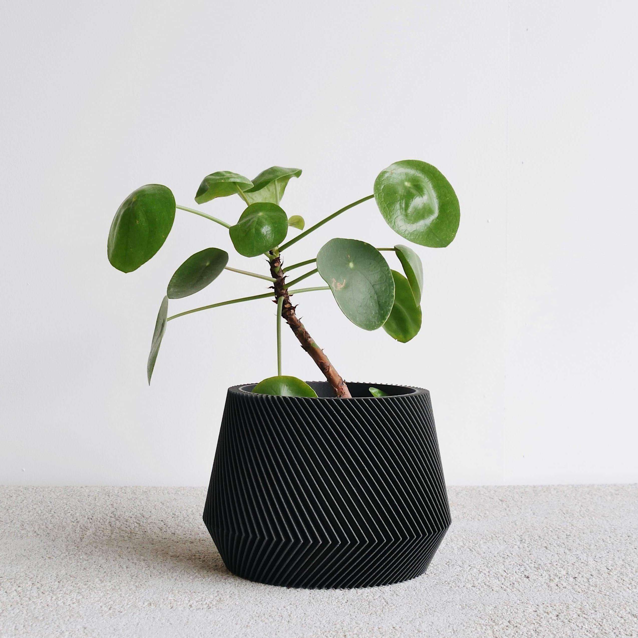 Black Oslo indoor planter