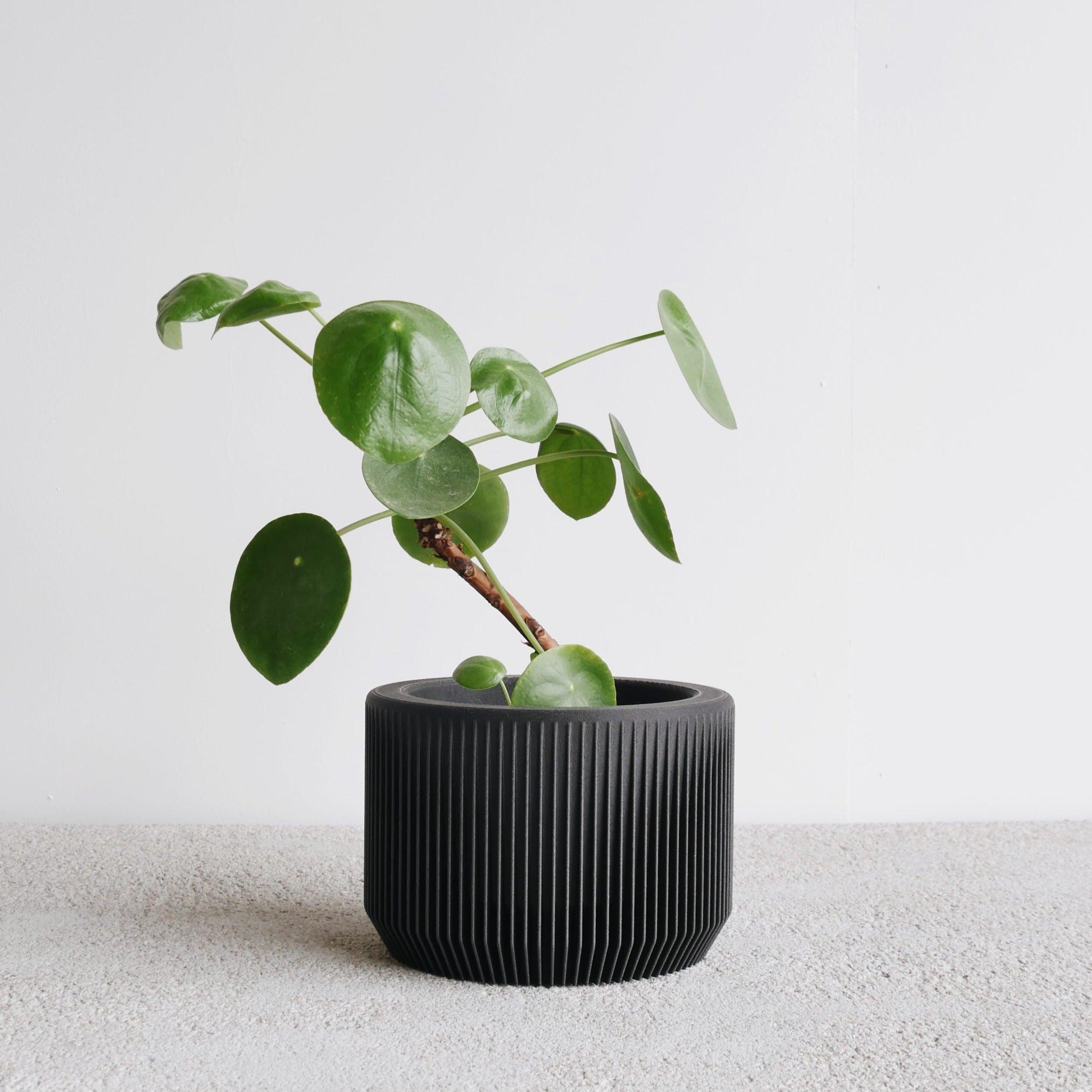 Black Praha indoor planter